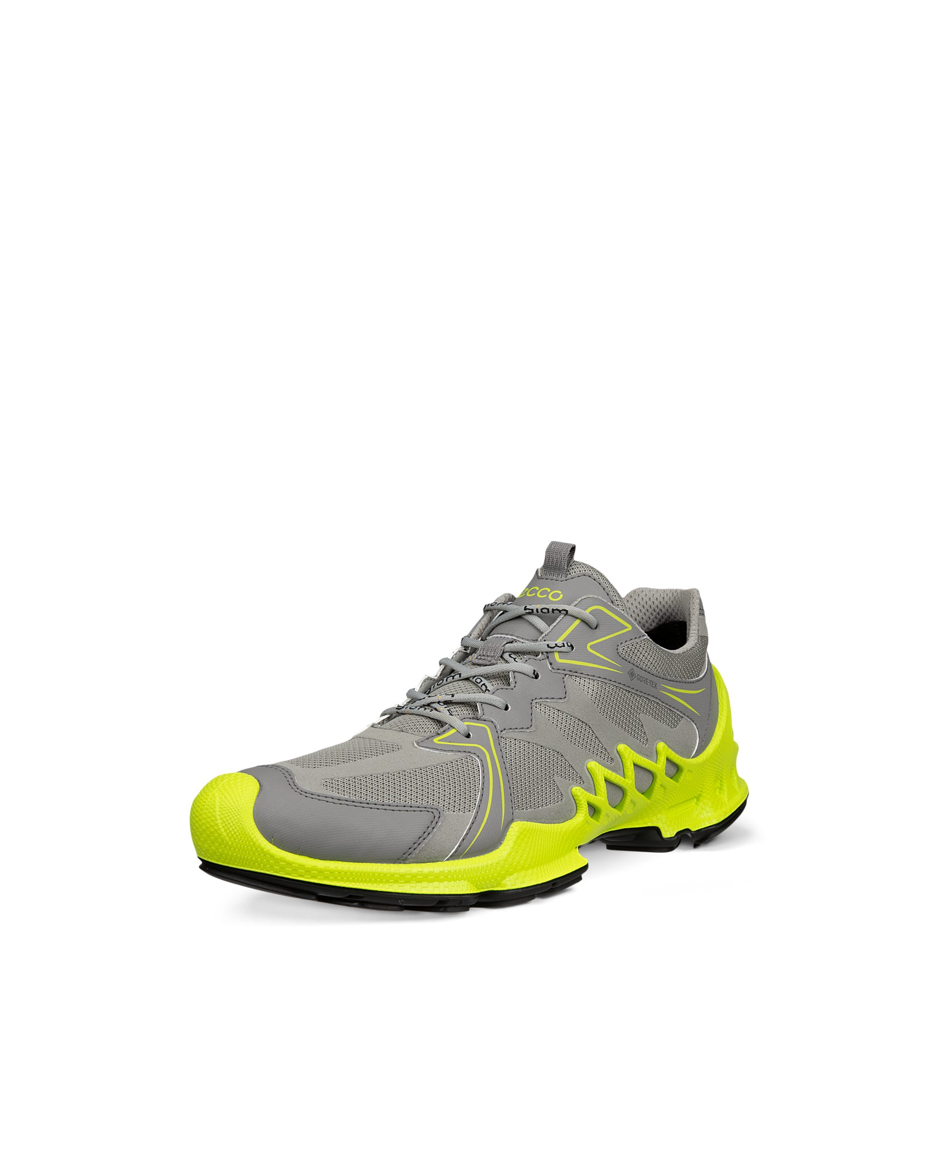 BIOM AEX M GTX - 그레이 - Main