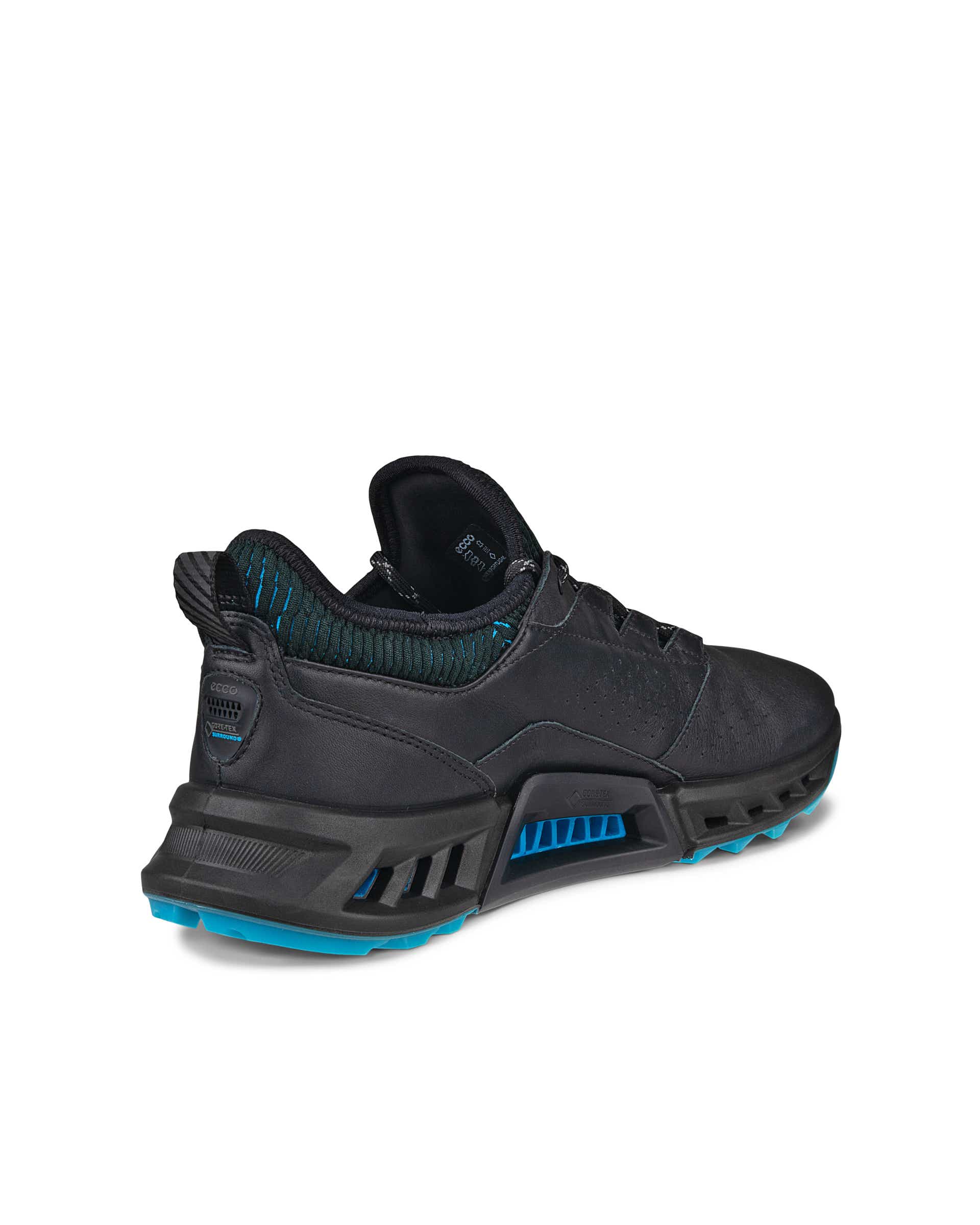 ECCO Golf BIOM C4 Men メンズ レザーGore-Texゴルフシューズ | ブラック ECCO Golf BIOM C4 Men メンズ レザーGore-Texゴルフシューズ | ブラック