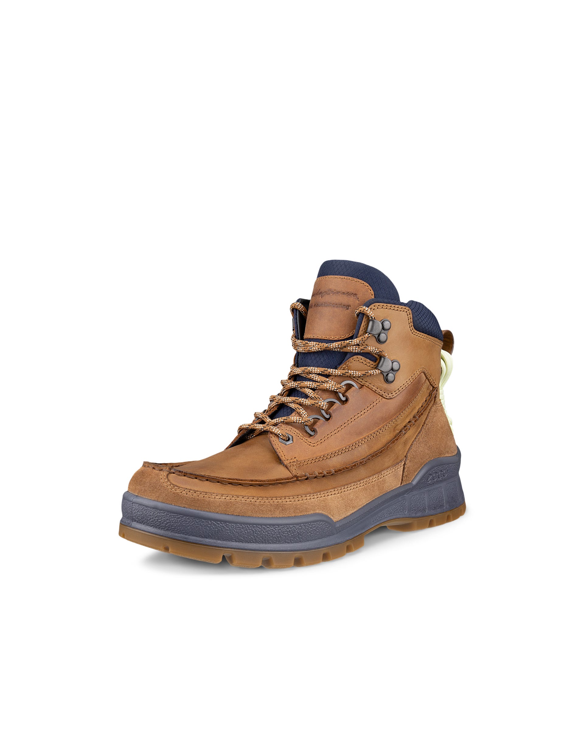 ECCO® TRACK 25 Herren Outdoor-Stiefel aus Nubukleder - Braun - Outside