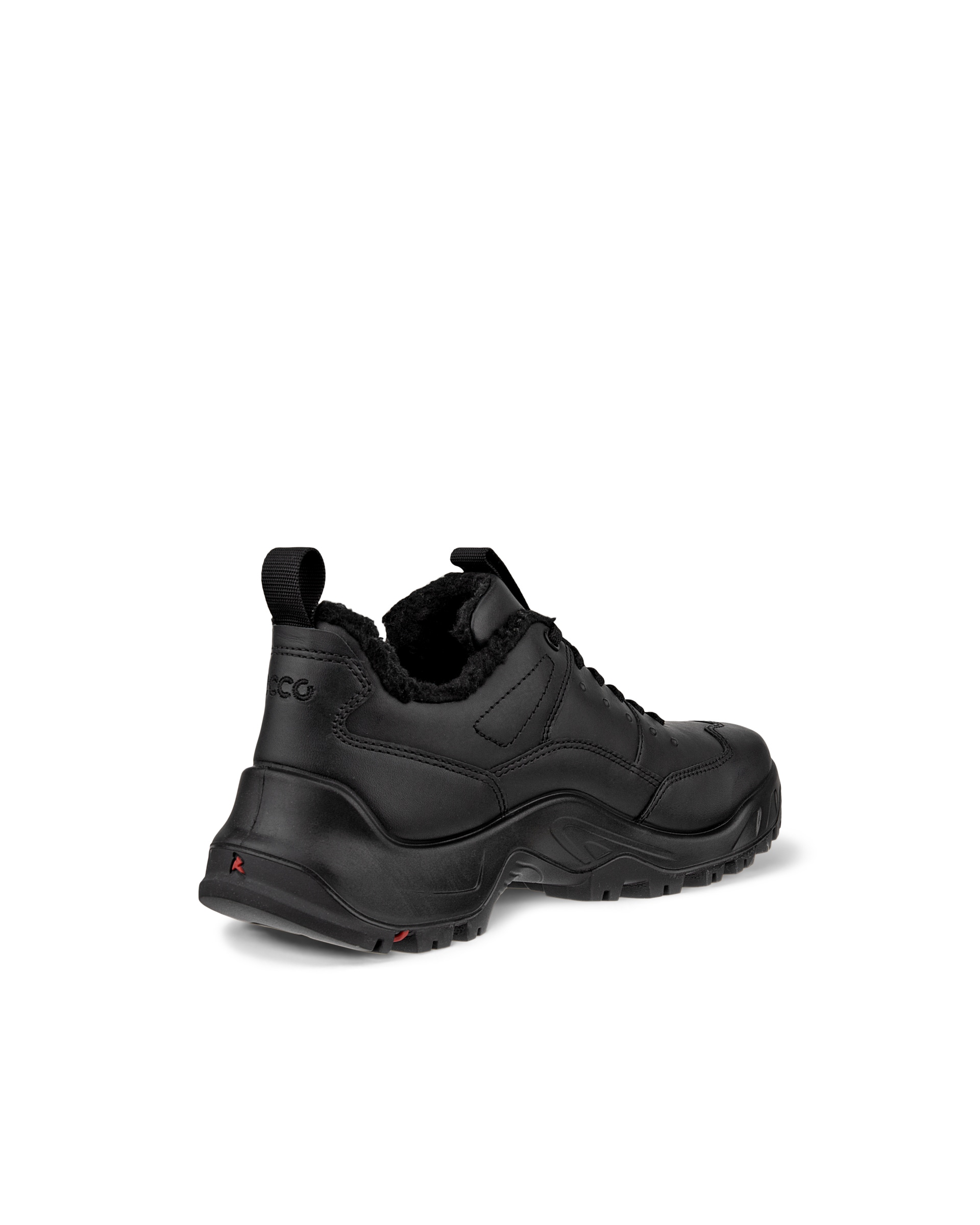ECCO® Offroad férfi vízálló bőrcipő - Fekete - Back