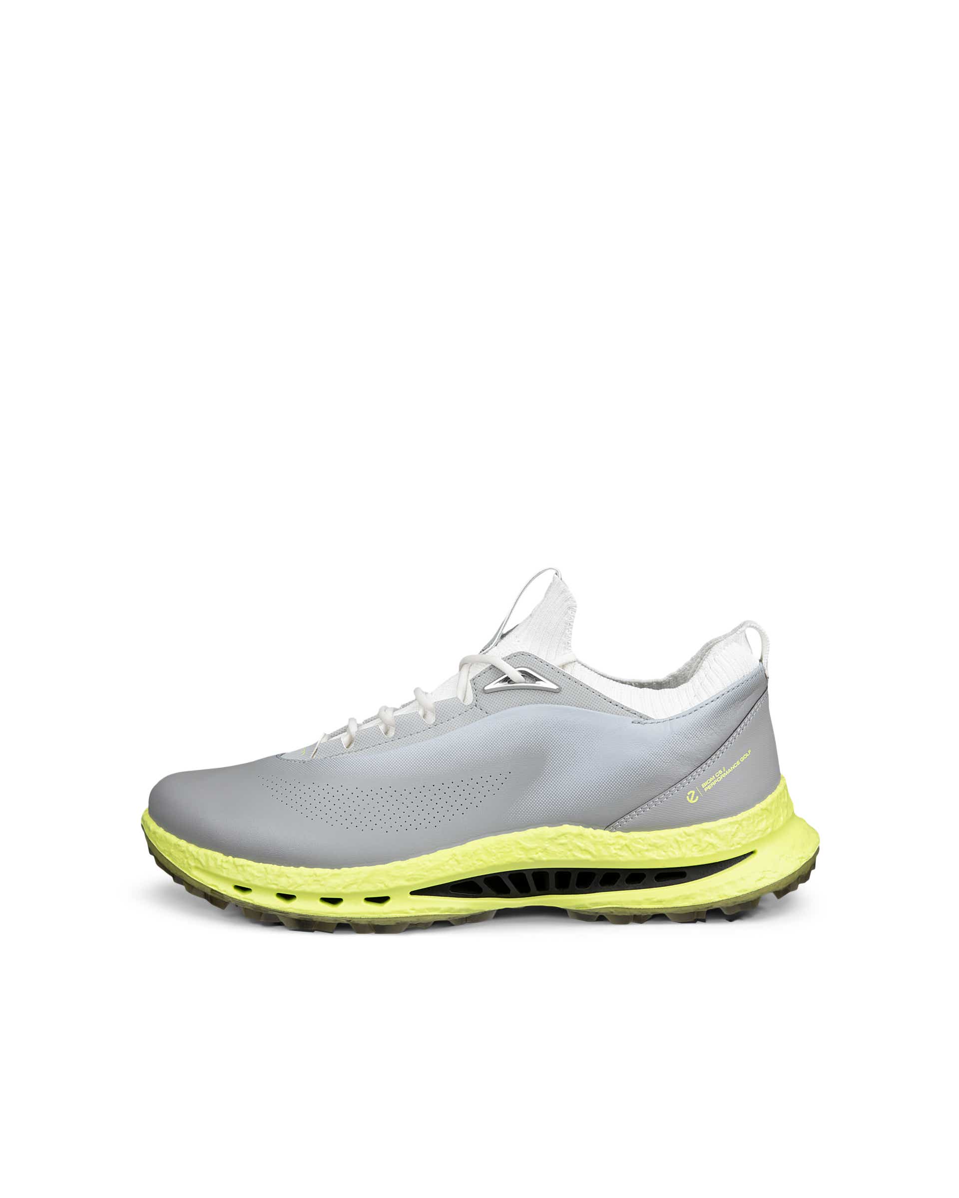 Men's ECCO® Golf Biom C5 Leather Gore-Tex Golf Shoe - Gray - Outside