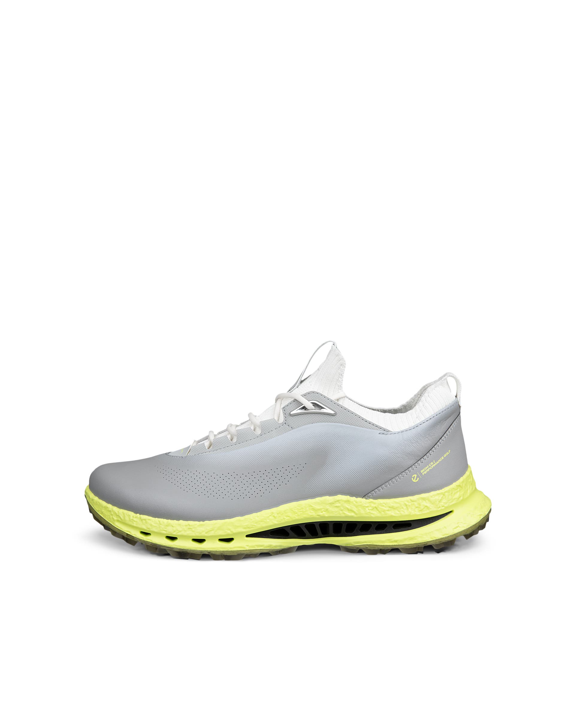 Men's ECCO® Golf Biom C5 Leather Gore-Tex Golf Shoe - Gray - Outside