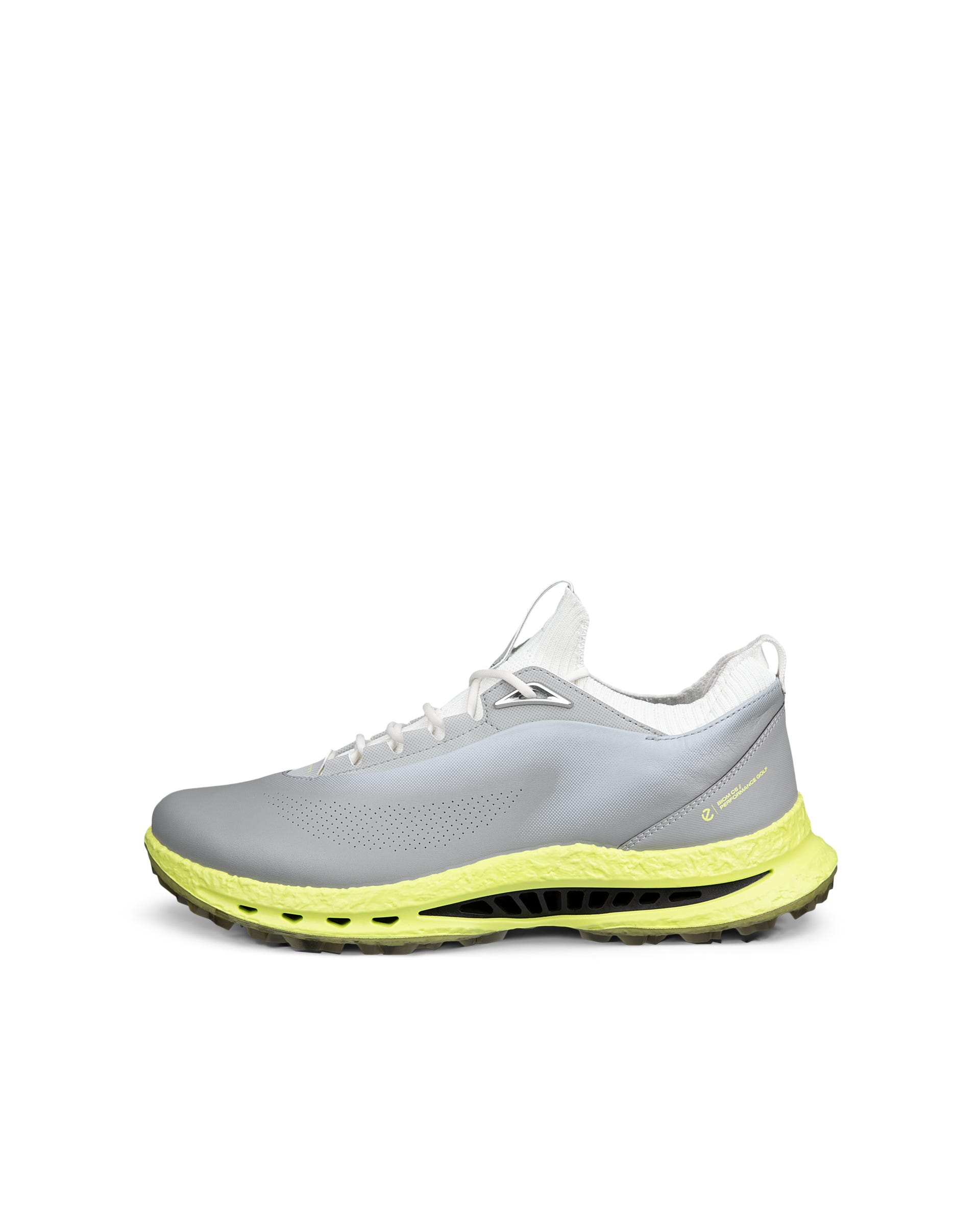 Men's ECCO® Golf Biom C5 Leather Gore-Tex Golf Shoe - Gray - Outside