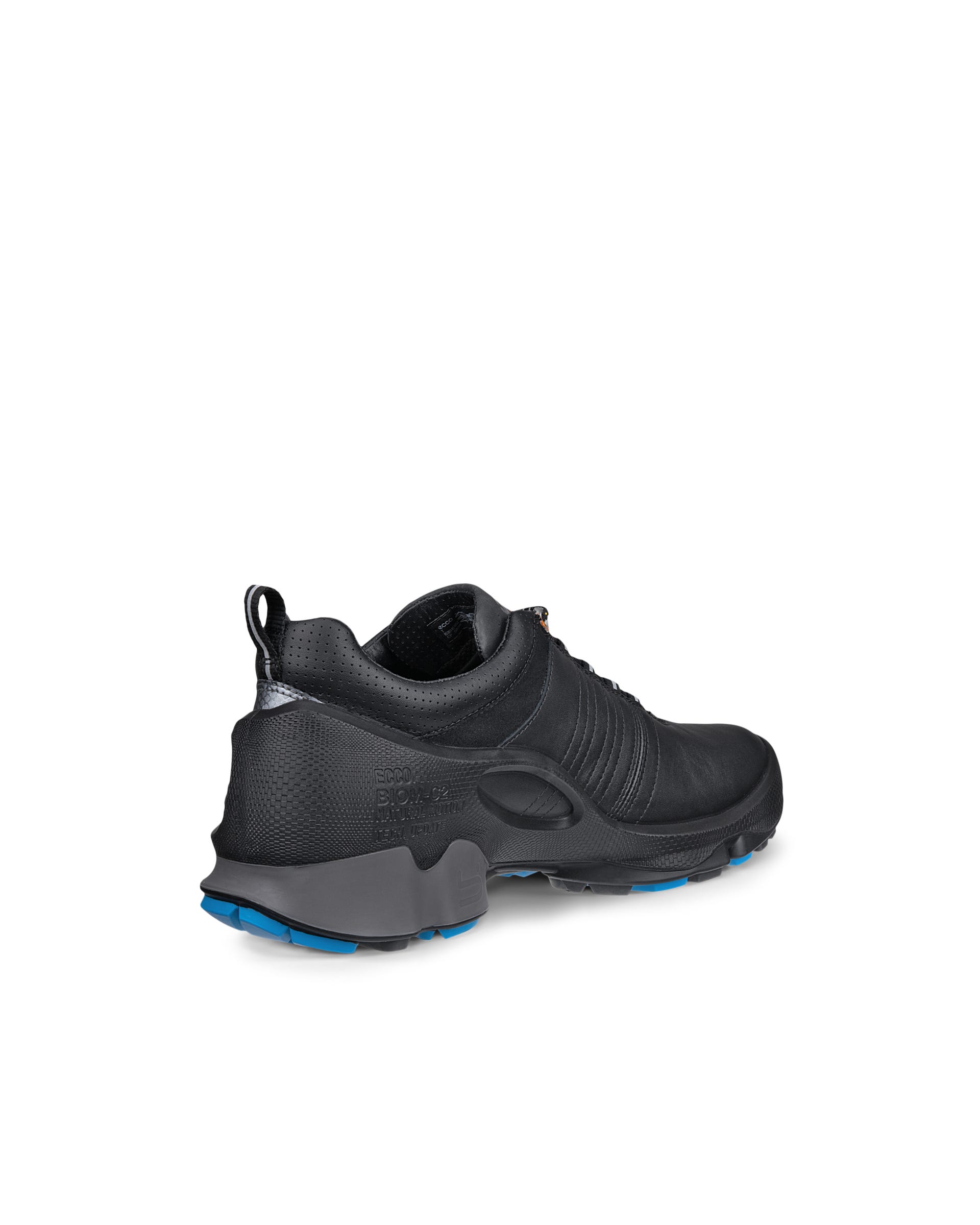 Męskie skórzane buty outdoorowe Gore-Tex ECCO® BIOM C2-TRAIL - Czarny - Outside