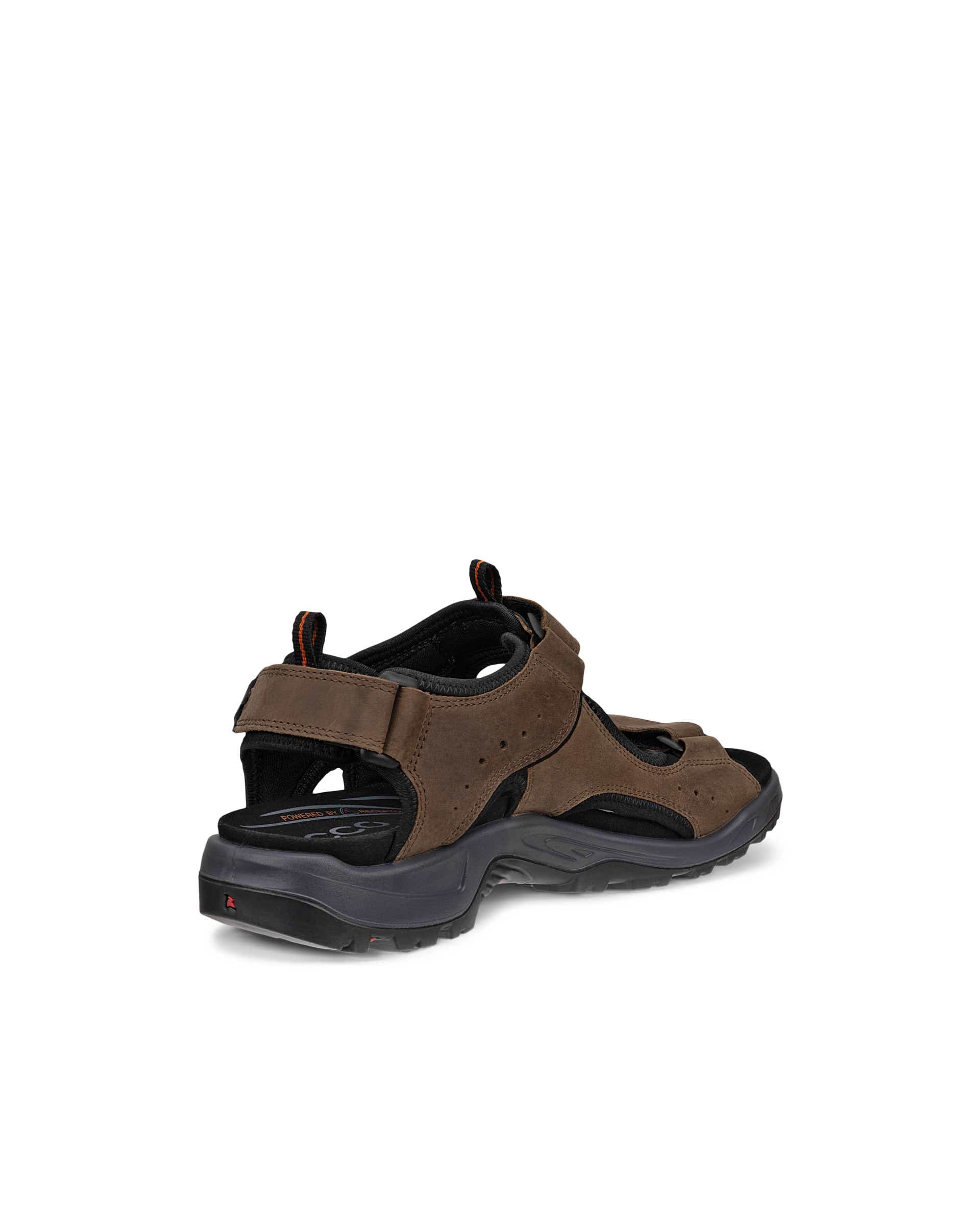 ECCO® Offroad Andes II sandale de marche en nubuck pour homme - Brun - Back
