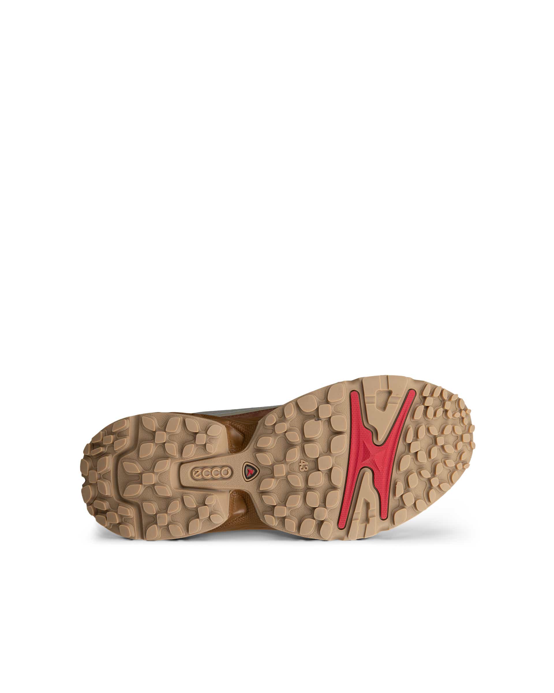 ECCO RECEPTOR XP MEN メンズ スニーカー - グリーン - Sole