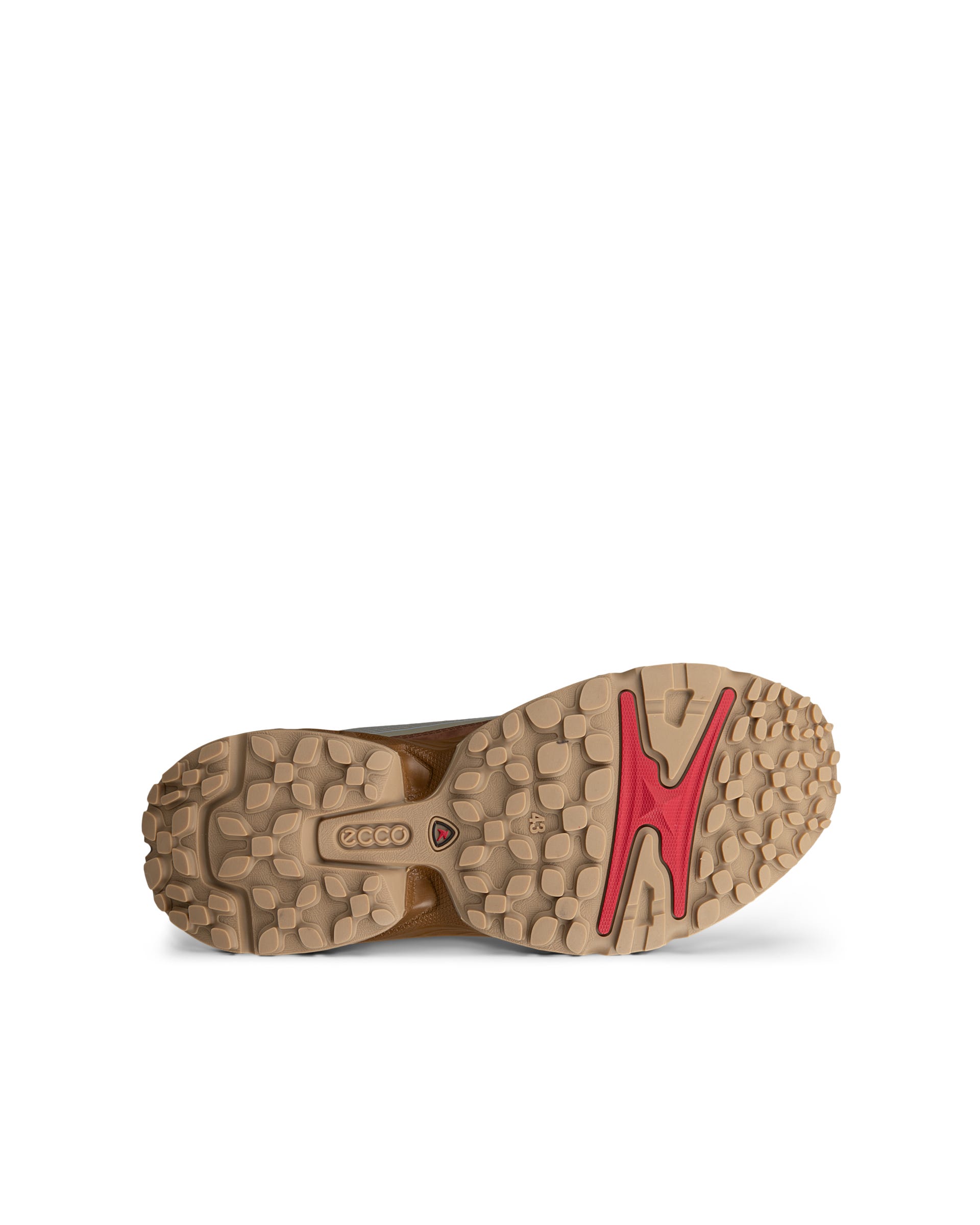 ECCO RECEPTOR XP MEN メンズ スニーカー - グリーン - Sole