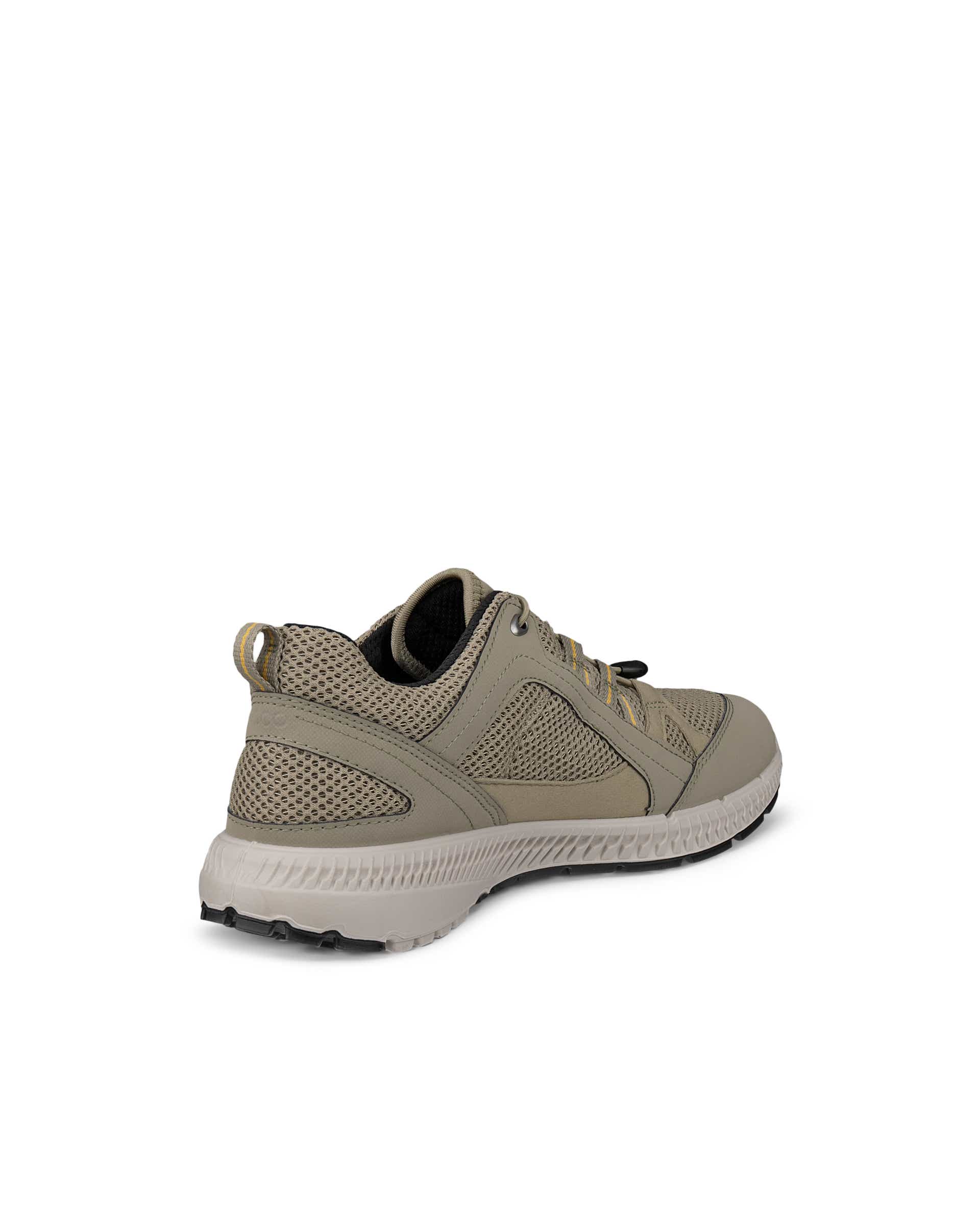 ECCO® TERRACRUISE II Damen Outdoor-Schuh mit Gore-Tex - Grün - Back