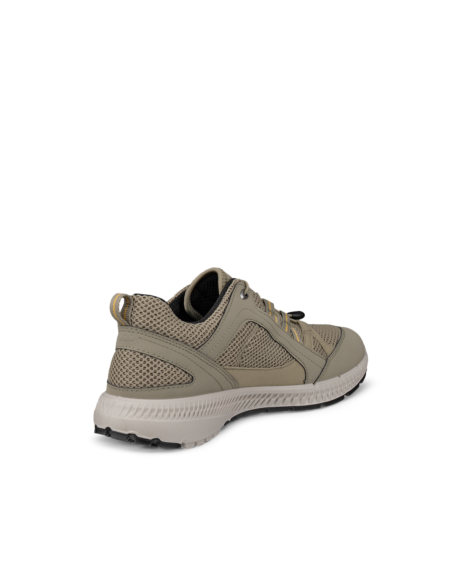 ECCO® TERRACRUISE II Damen Outdoor-Schuh mit Gore-Tex - Grün - Back
