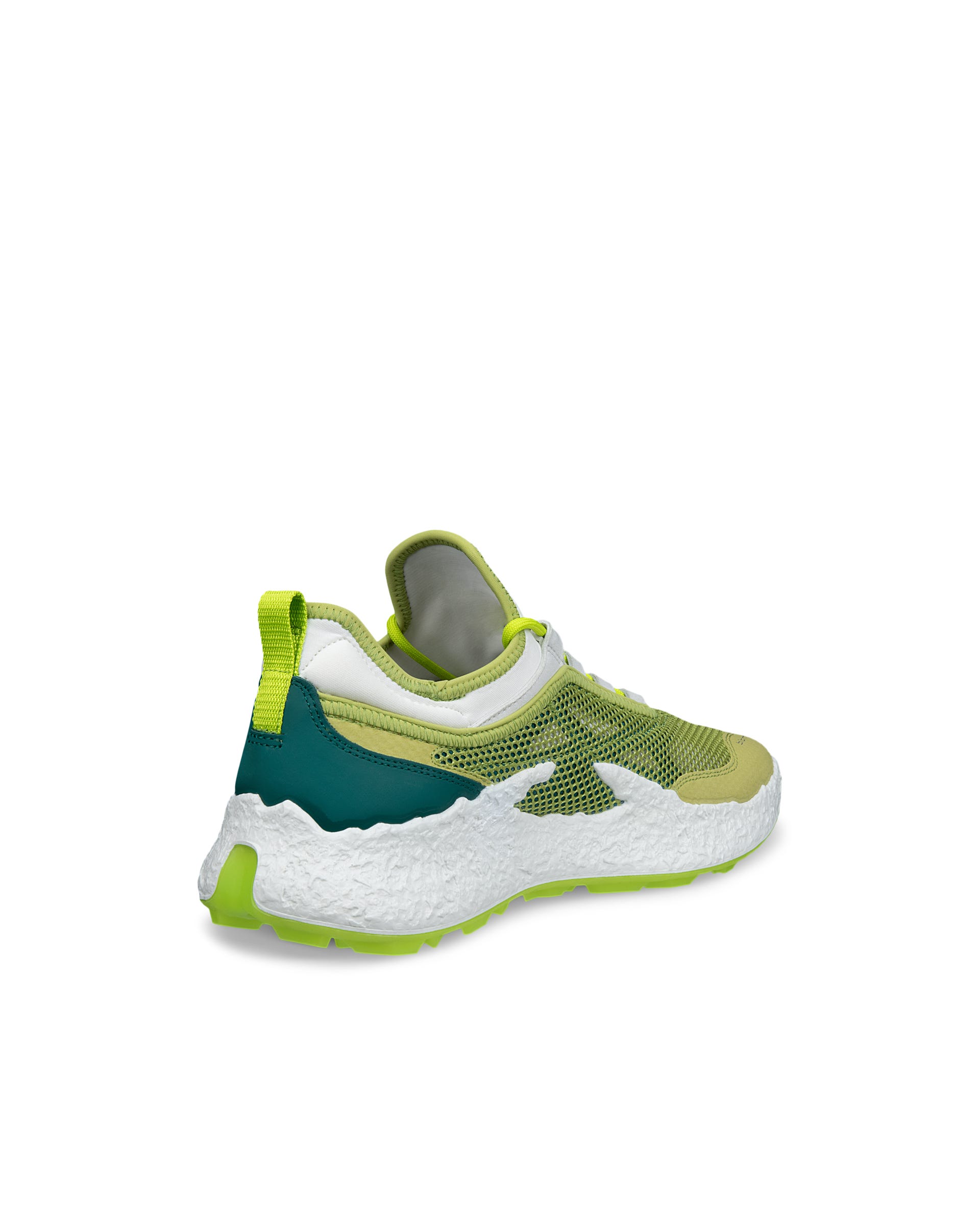 Zapatos golf de tela ECCO® GOLF BIOM H5 para hombre - Verde - Back