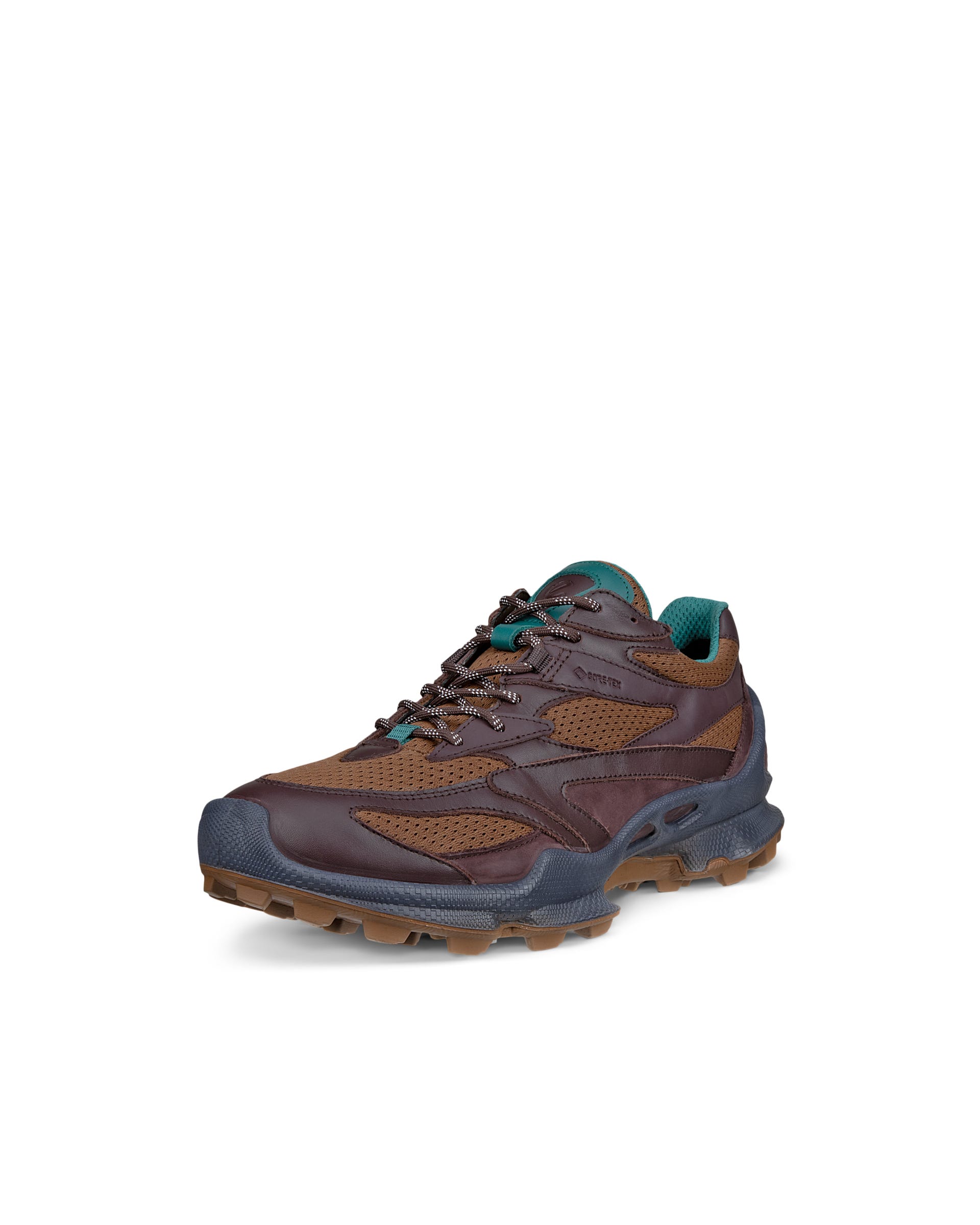 Men's ECCO® Biom C-Trail Gore-Tex Leather Shoe