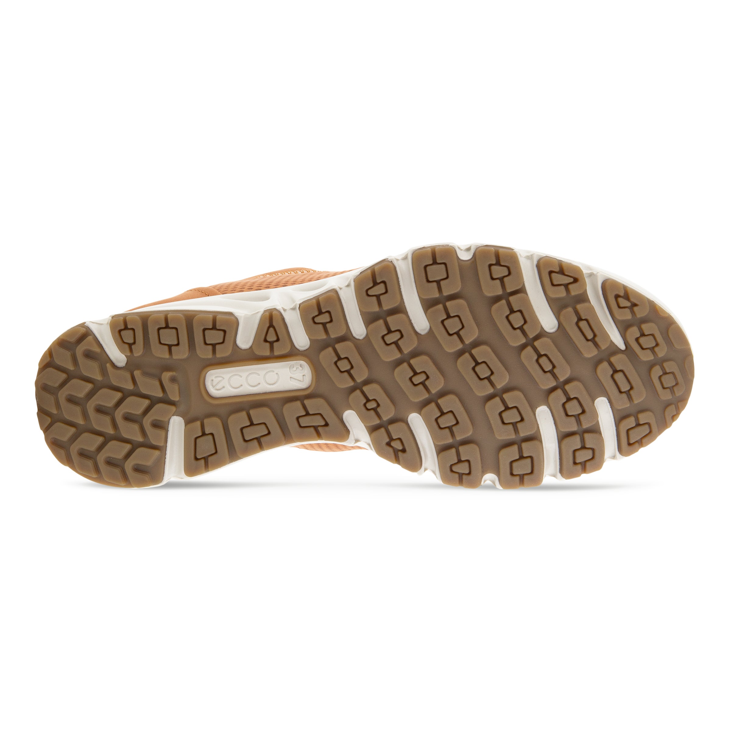 ECCO Multi Vent Women ウィメンズ レザーGore-Texシューズ - ブラウン - Sole