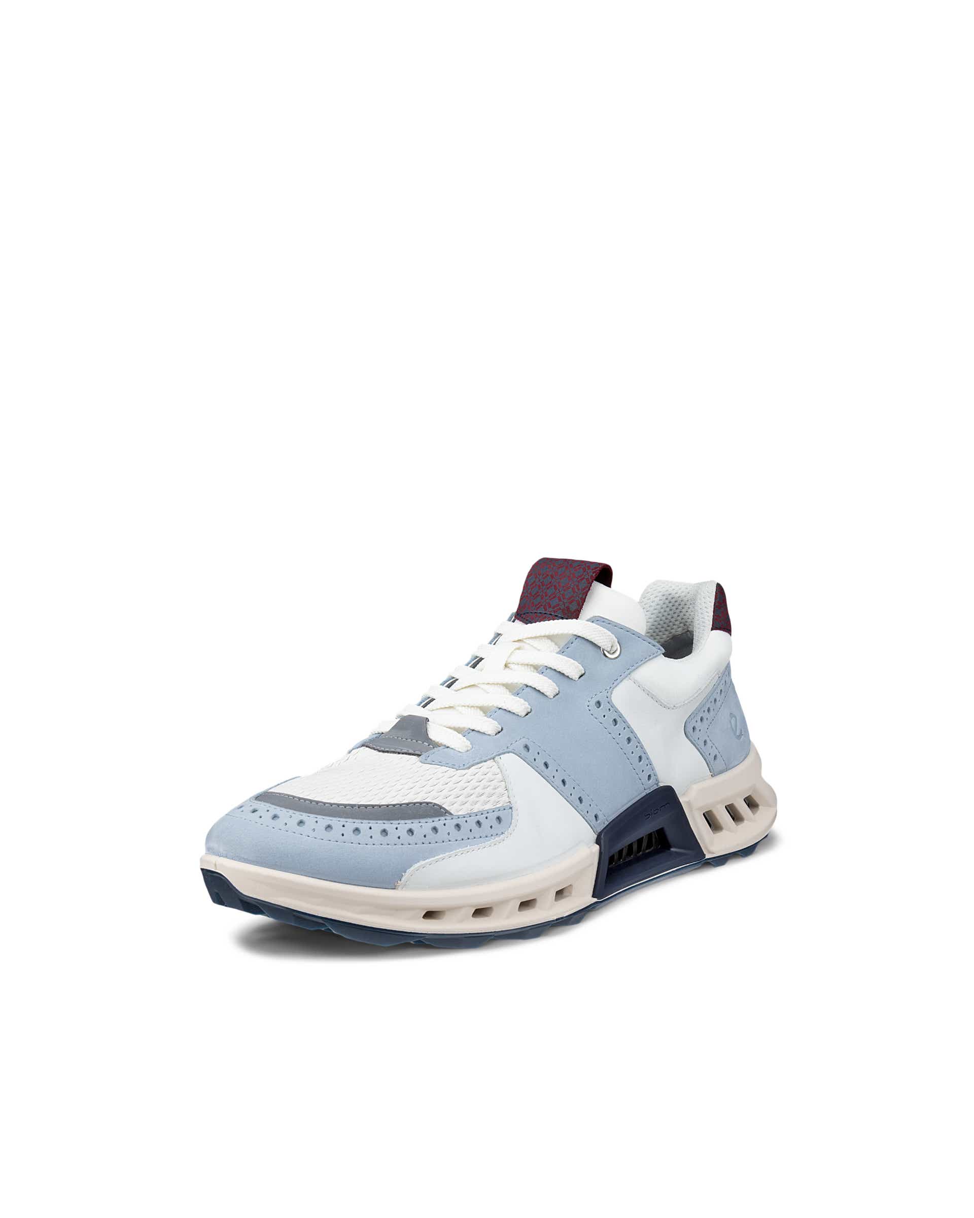 ECCO GOLF BIOM C4 MEN メンズ レザーGore-Texゴルフシューズ - マルチカラー - Main