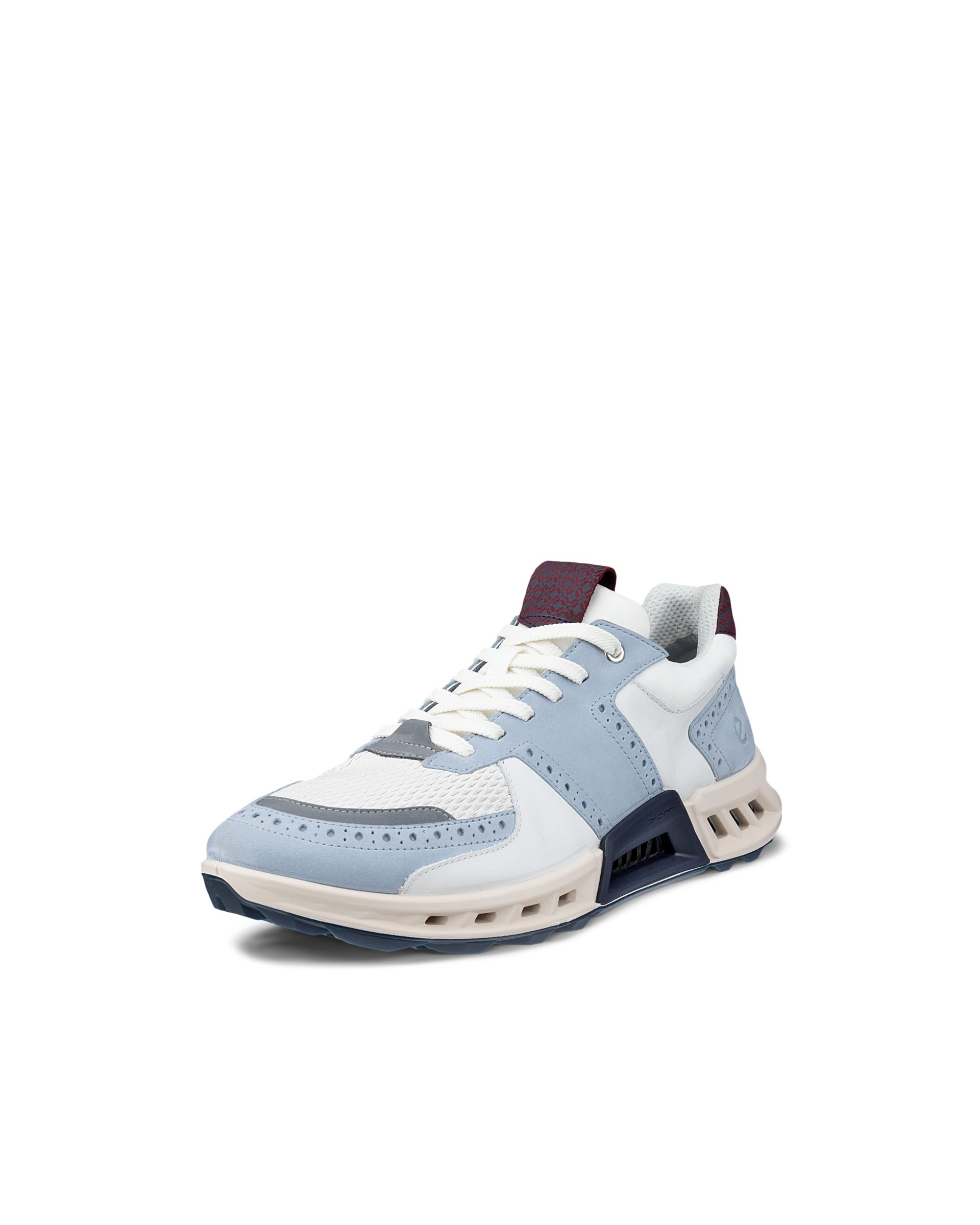 ECCO GOLF BIOM C4 MEN メンズ レザーGore-Texゴルフシューズ - マルチカラー - Outside