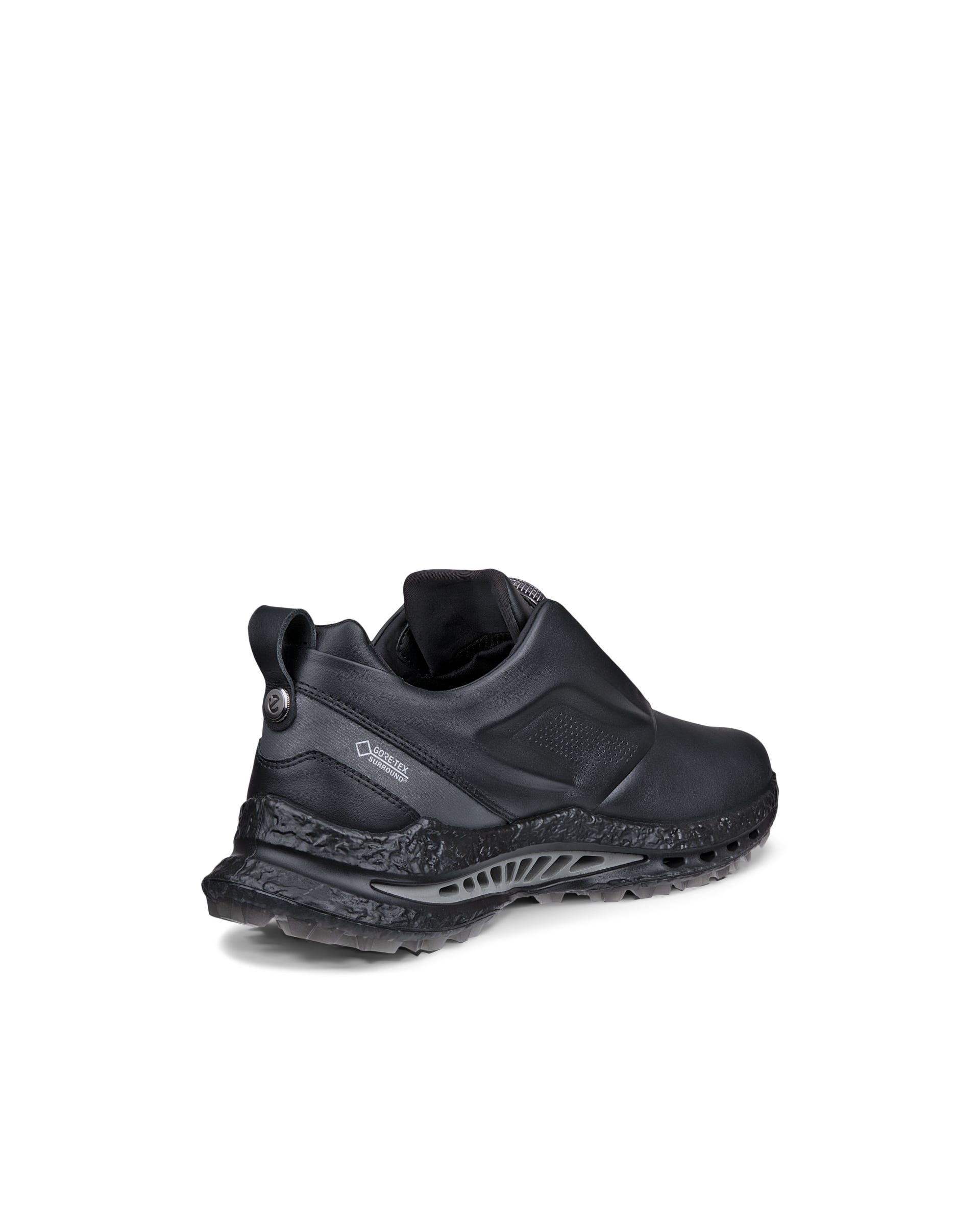 ECCO® GOLF BIOM C5 Herren Golfschuh aus Leder mit Gore-Tex - Schwarz - Back