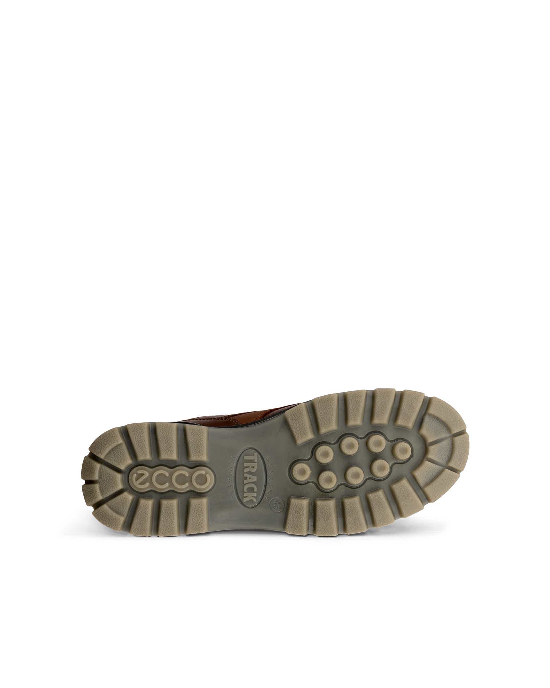 ECCO® Track 25 Heren leren Gore-Tex sneaker - Bruin - Sole