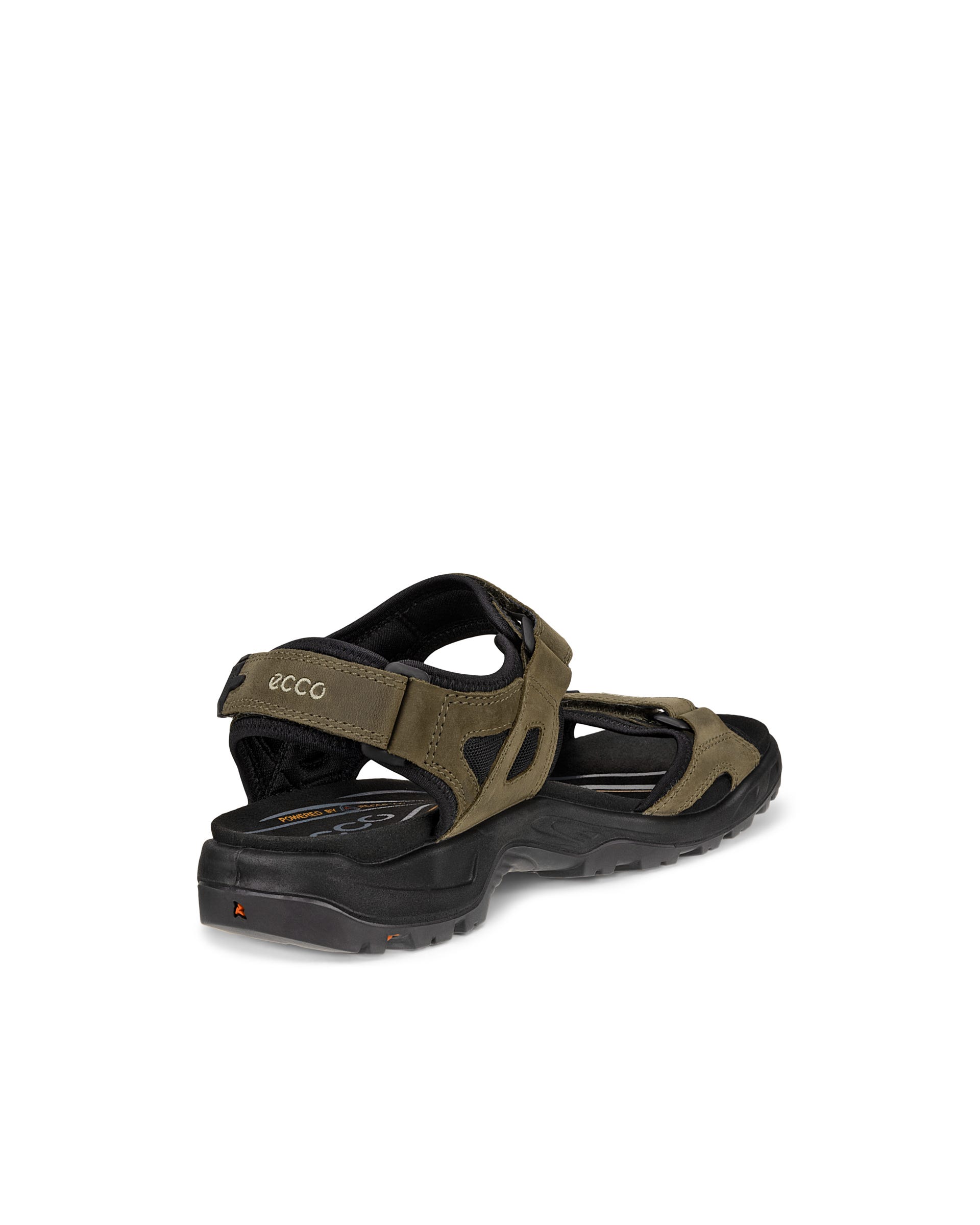 Men's ECCO® Offroad Nubuck Outdoor Sandal - Green - Back