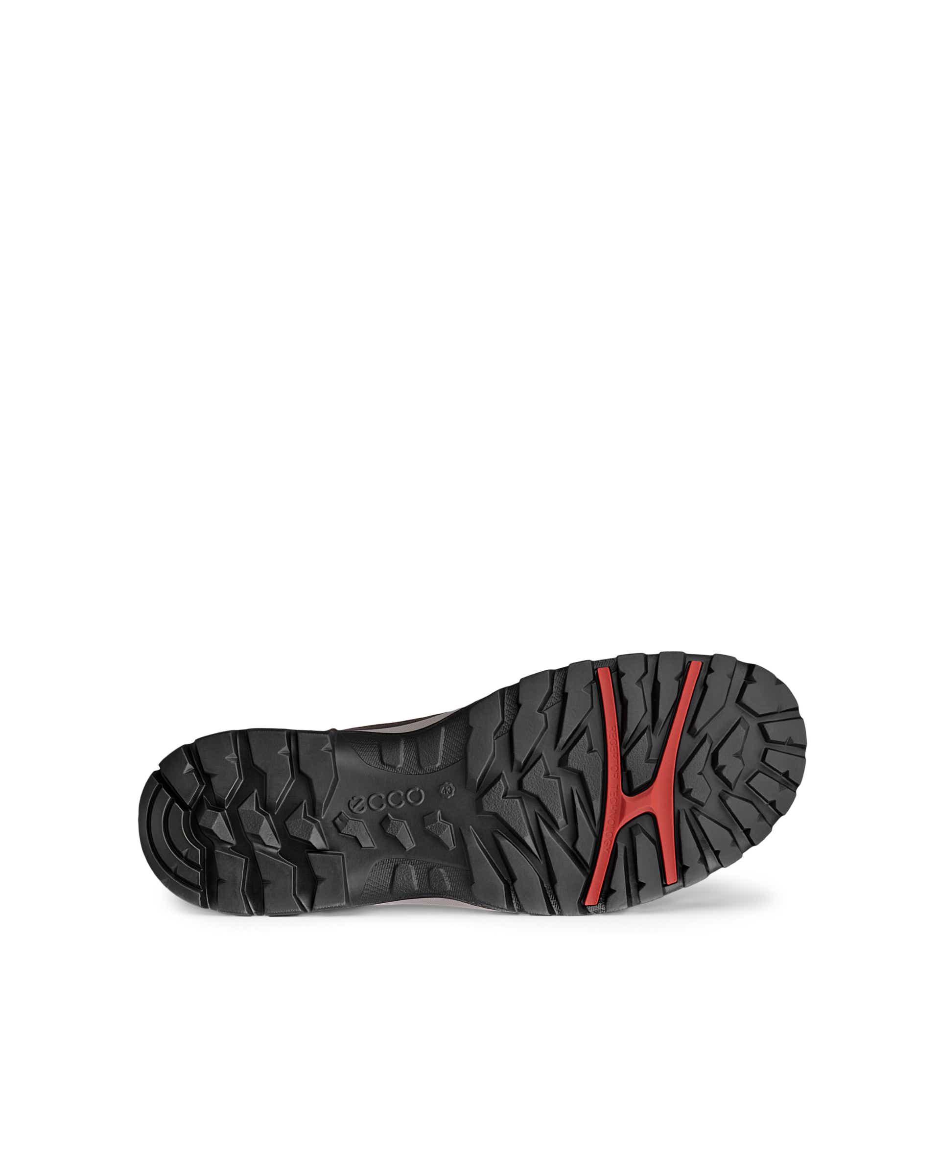 ECCO Xpedition III M WP/WL - Marron - Sole
