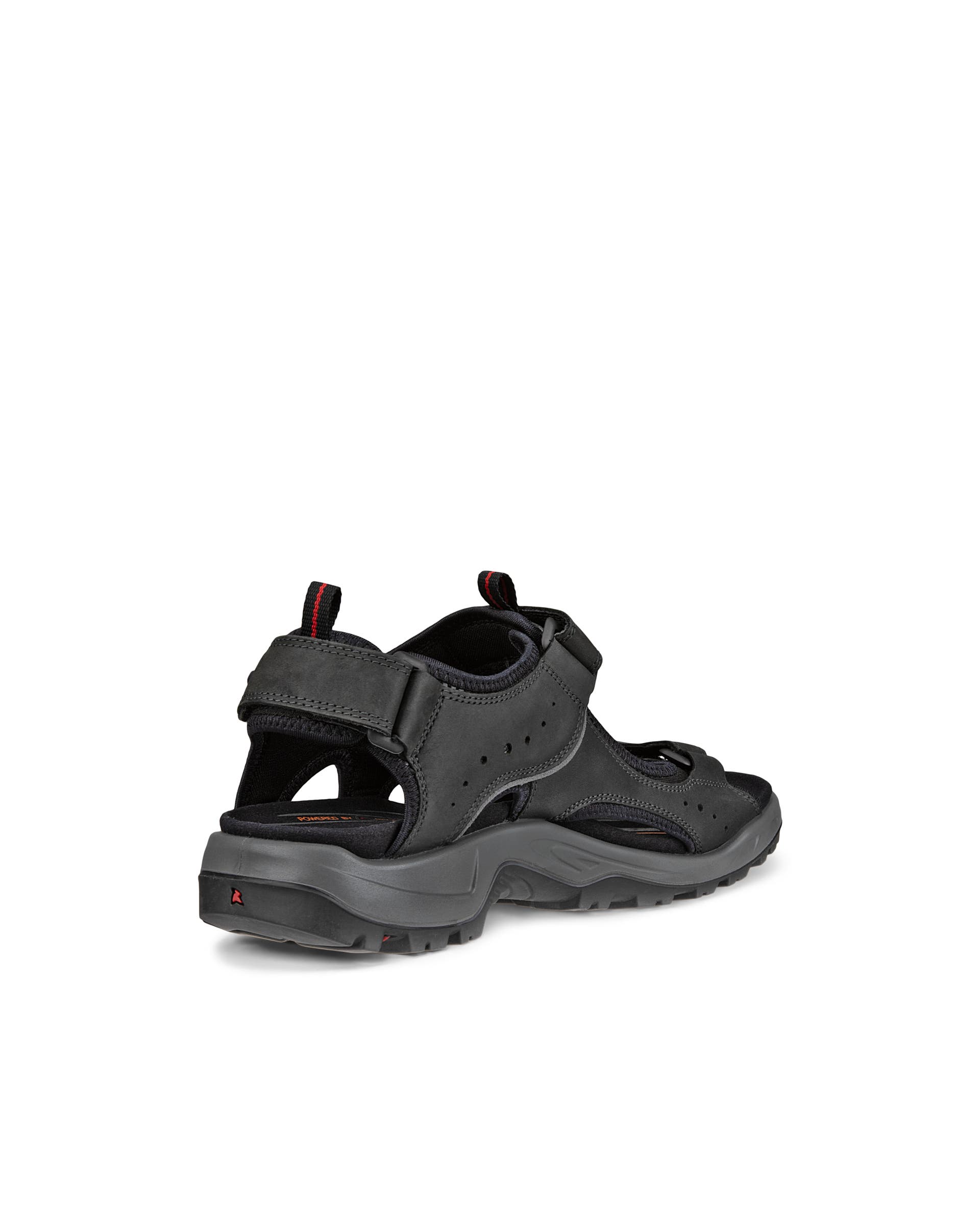 Men's ECCO® Offroad Nubuck Hiking Sandal - Black - Back