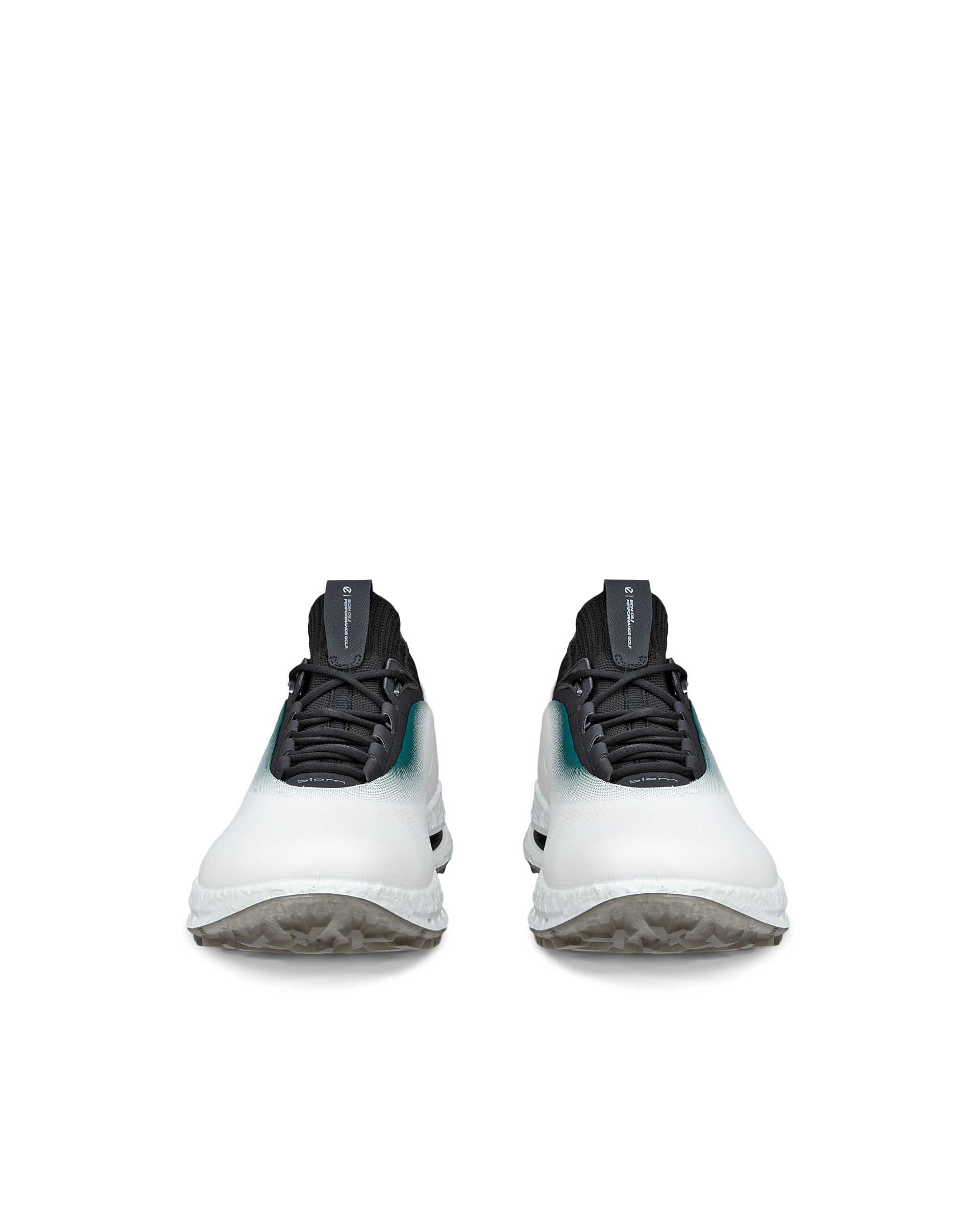 ECCO GOLF BIOM C5 MEN メンズ レザーGore-Texゴルフシューズ - ホワイト - Front pair
