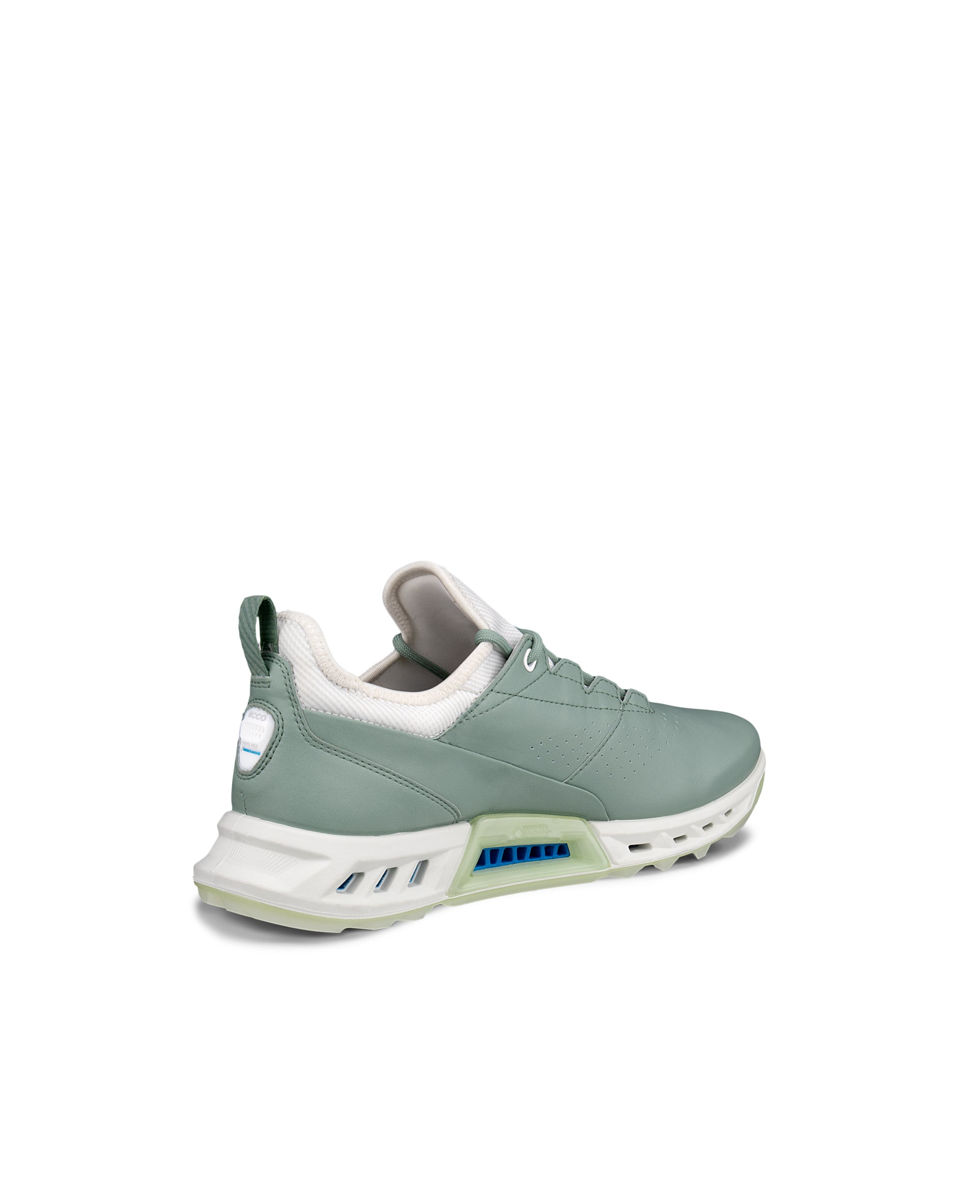 Ženski Gore-Tex usnjeni čevlji za golf  ECCO® Golf BIOM C4 - Zelena - Back