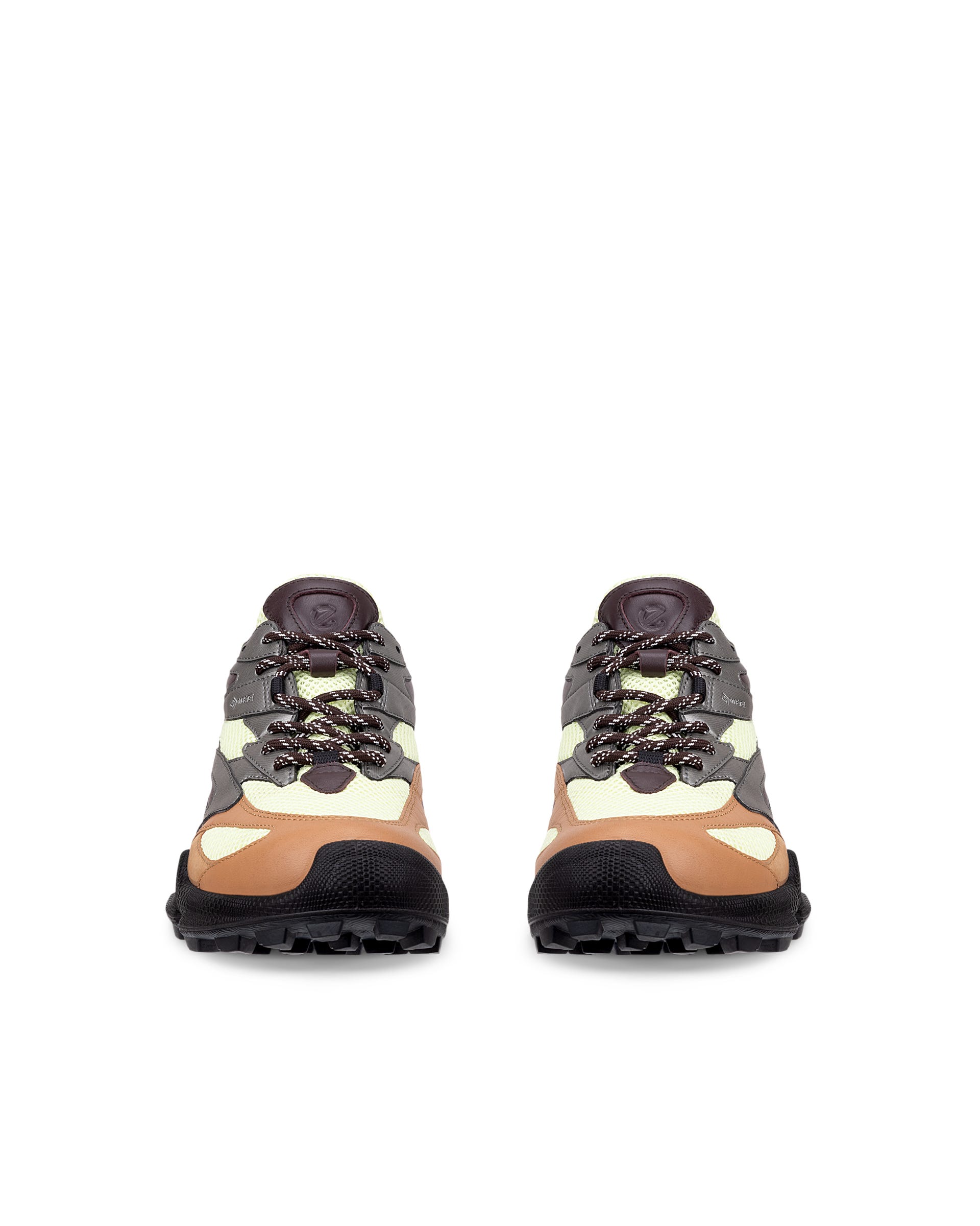 Men's ECCO® Biom C-Trail Gore-Tex Leather Shoe