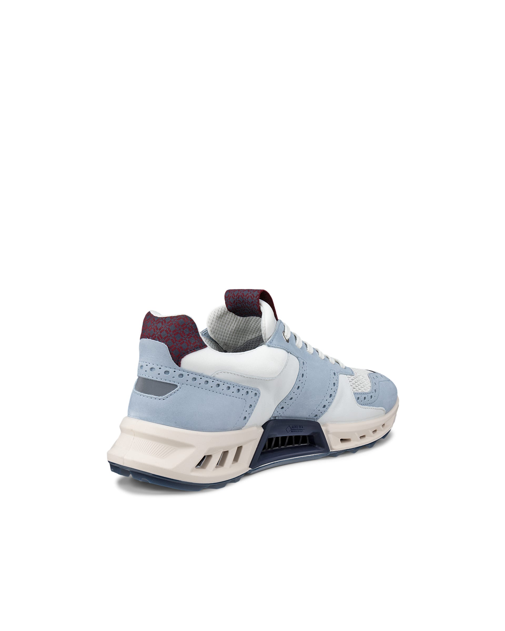 ECCO GOLF BIOM C4 MEN メンズ レザーGore-Texゴルフシューズ - マルチカラー - Outside