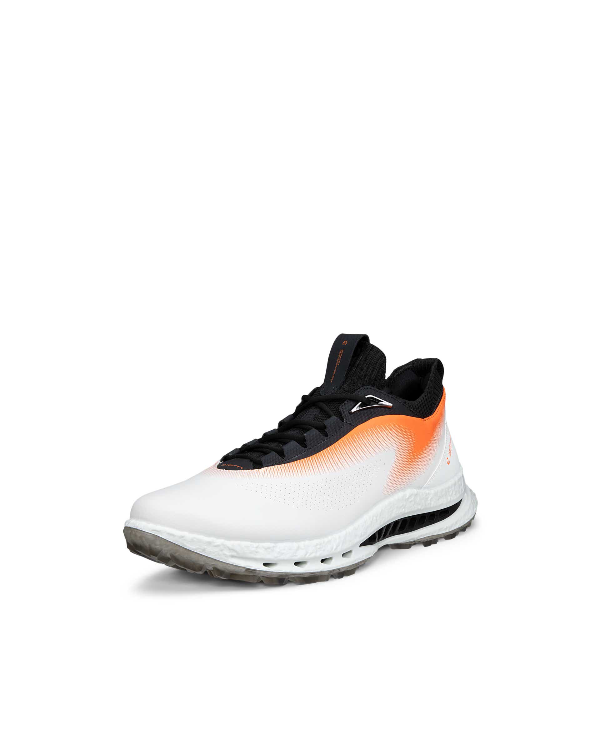 ECCO® GOLF BIOM C5 Gore-Tex-iga nahast golfijalats meestele - Valge - Main