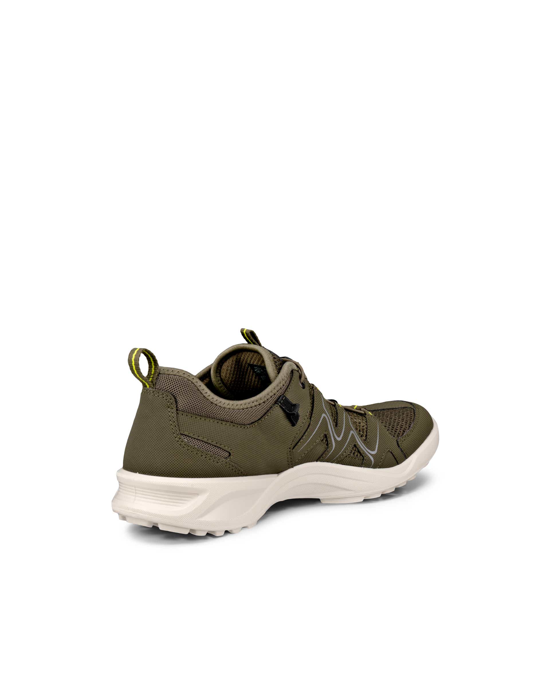 Sapatos caminhada homem ECCO® Terracruise LT - Verde - Back