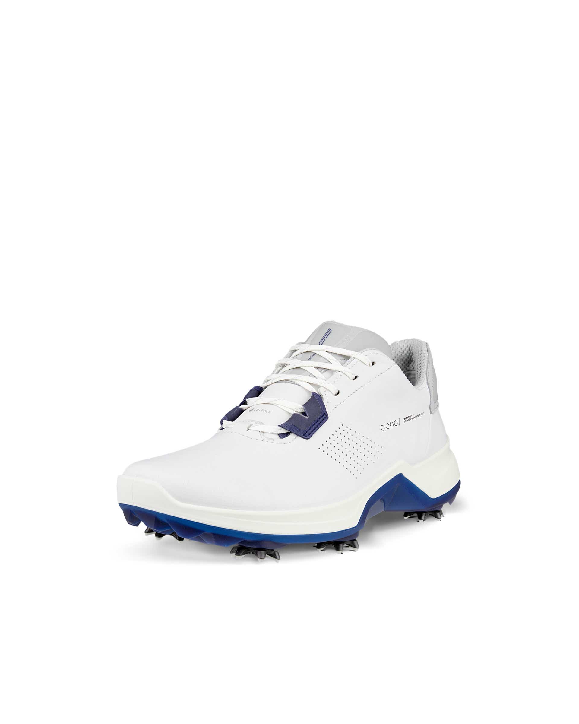 ○★新品 未使用 ECCO GOLF バイオム H4 ゴアテックスゴルフシューズ Amazon | [エコー] ゴルフシューズ M ゴルフ バイオム H4