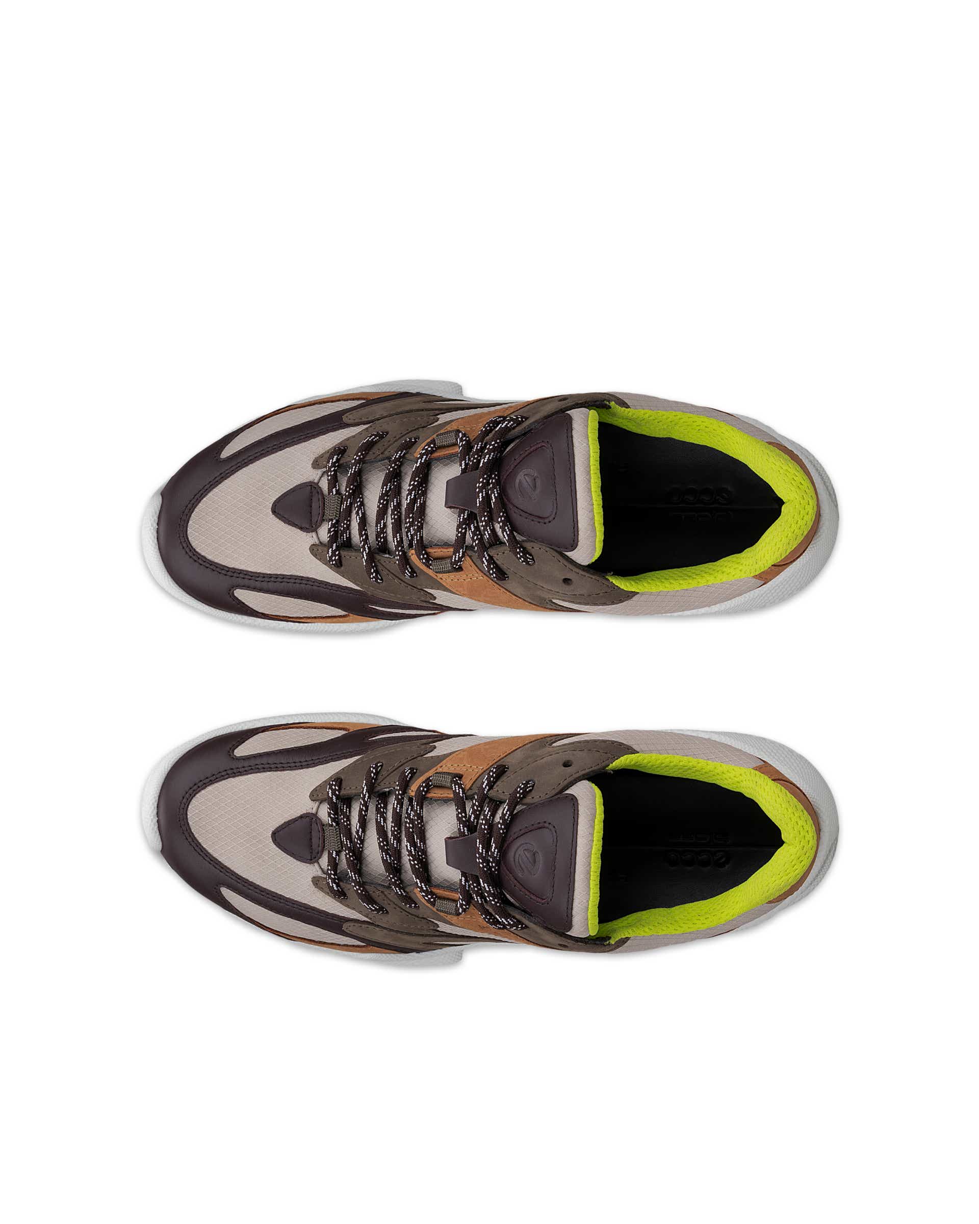 Men's ECCO® BIOM C-TRAIL Gore-Tex Trainer - Grey - Top left pair