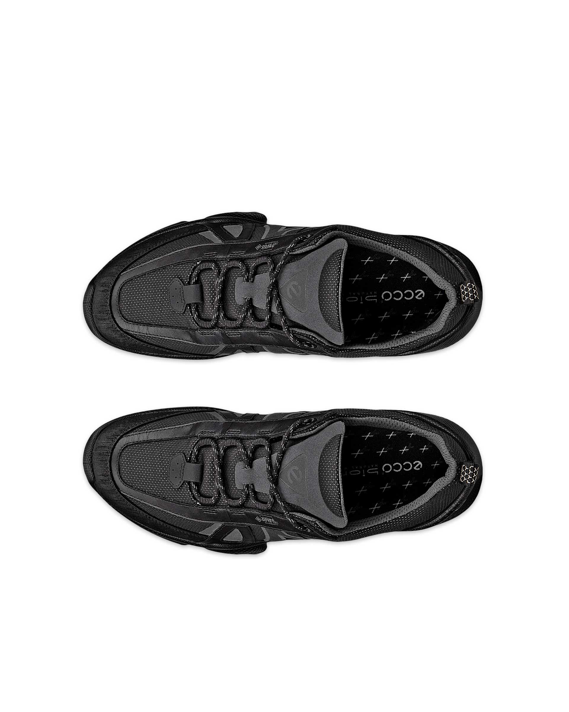 ECCO BIOM C-TRAIL M INV-GTX - Black - Top left pair