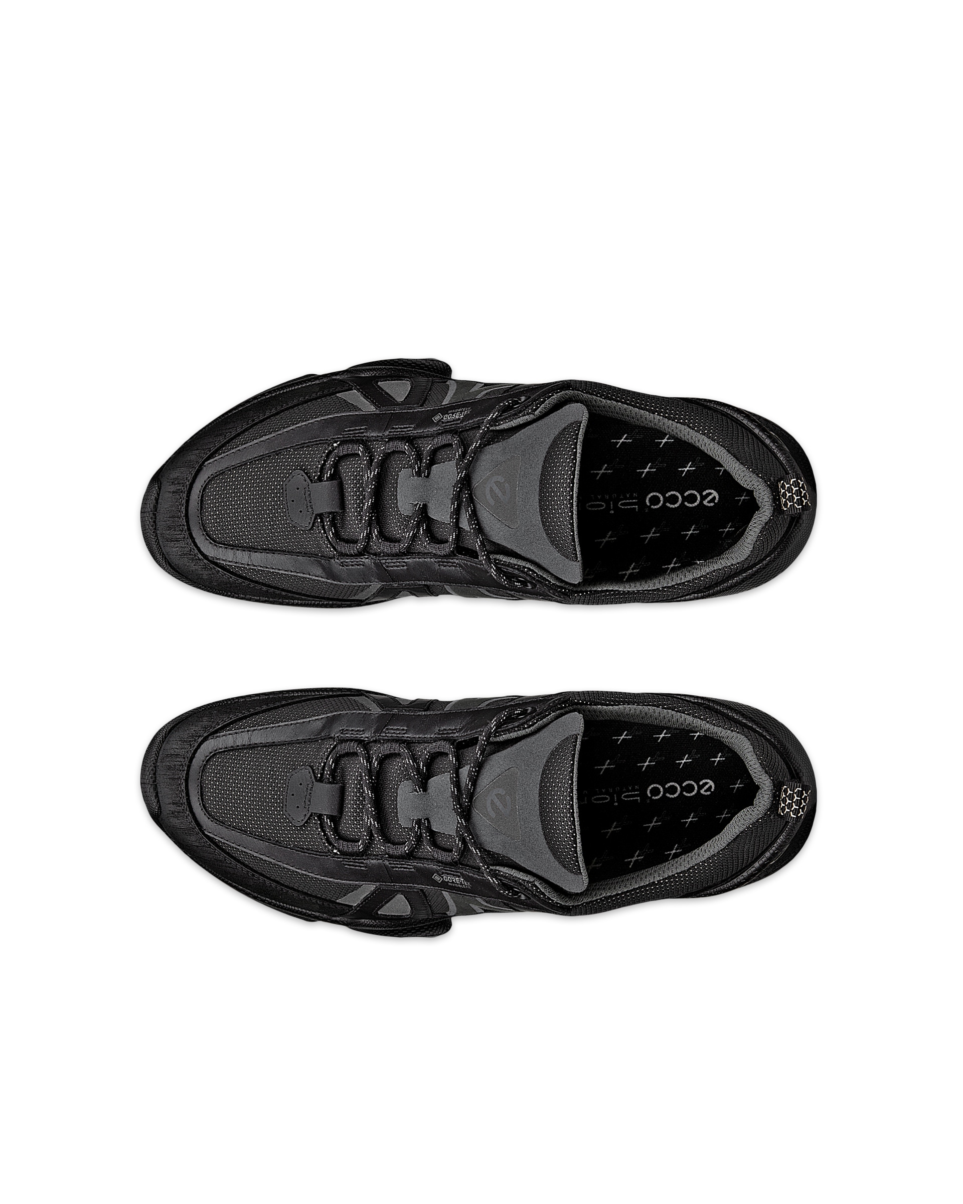 ECCO BIOM C-TRAIL M INV-GTX - Black - Top left pair
