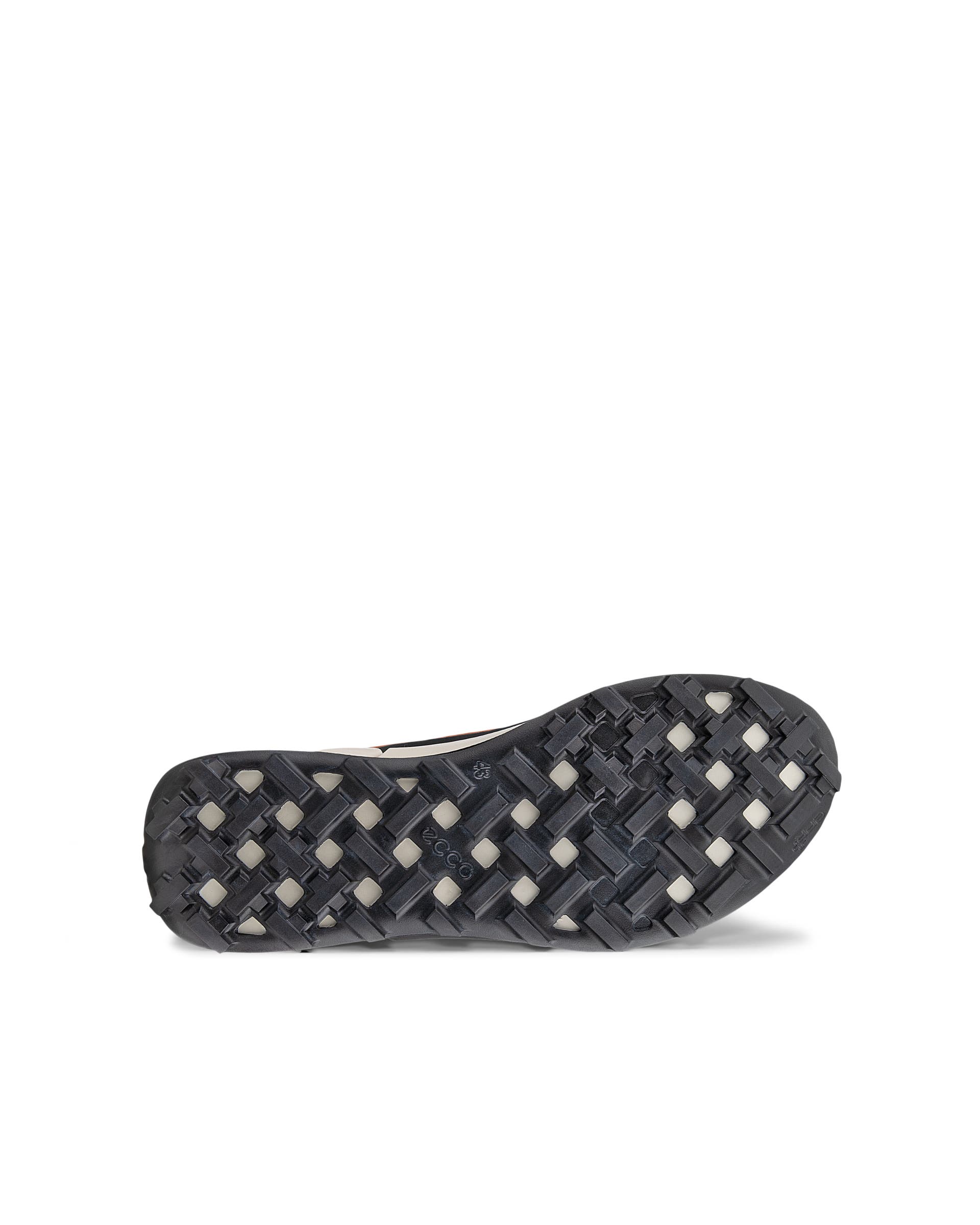 ECCO BIOM 2.1 X Country Low メンズ テキスタイルGore-Texトレイルランニングシューズ - ブラウン - Sole