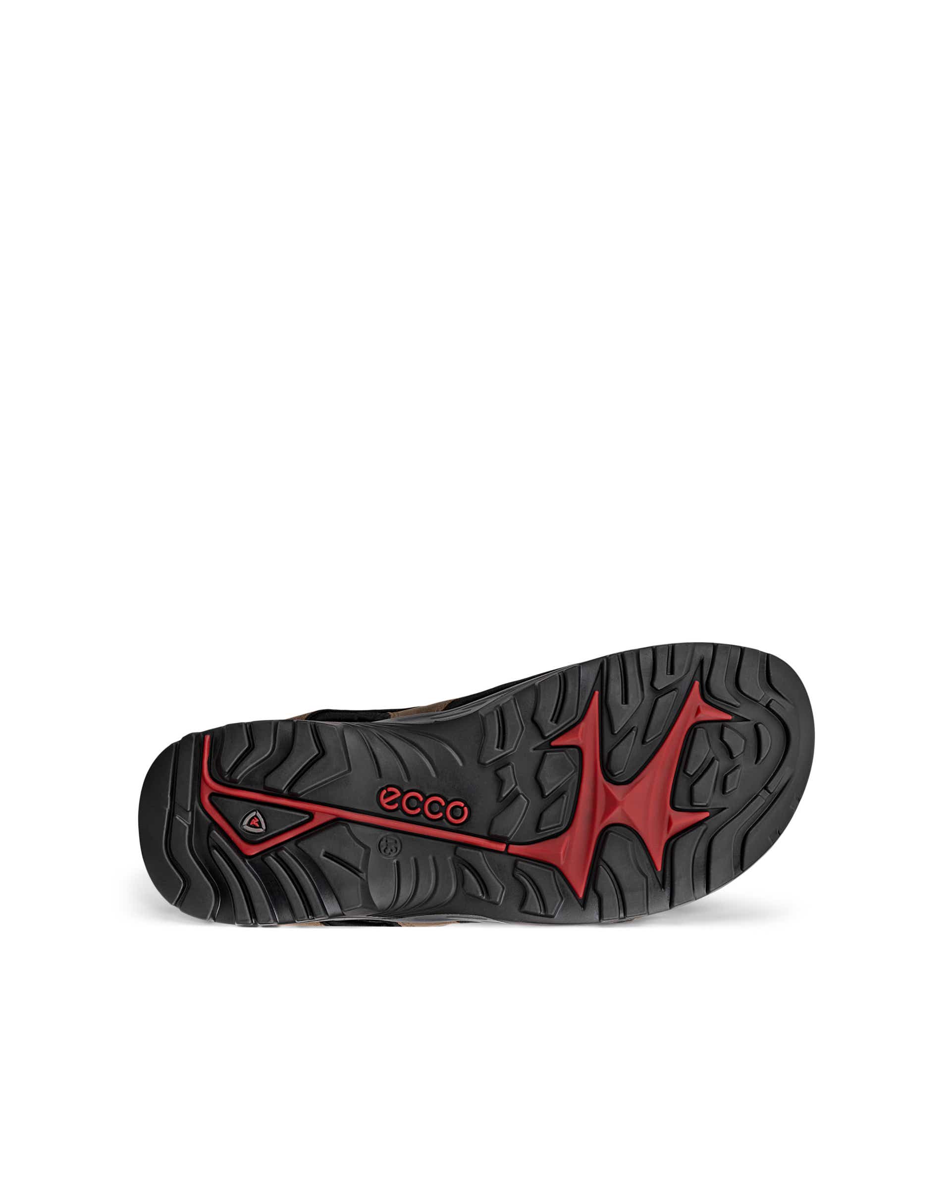 ECCO® Offroad Andes II sandale de marche en nubuck pour homme - Brun - Sole