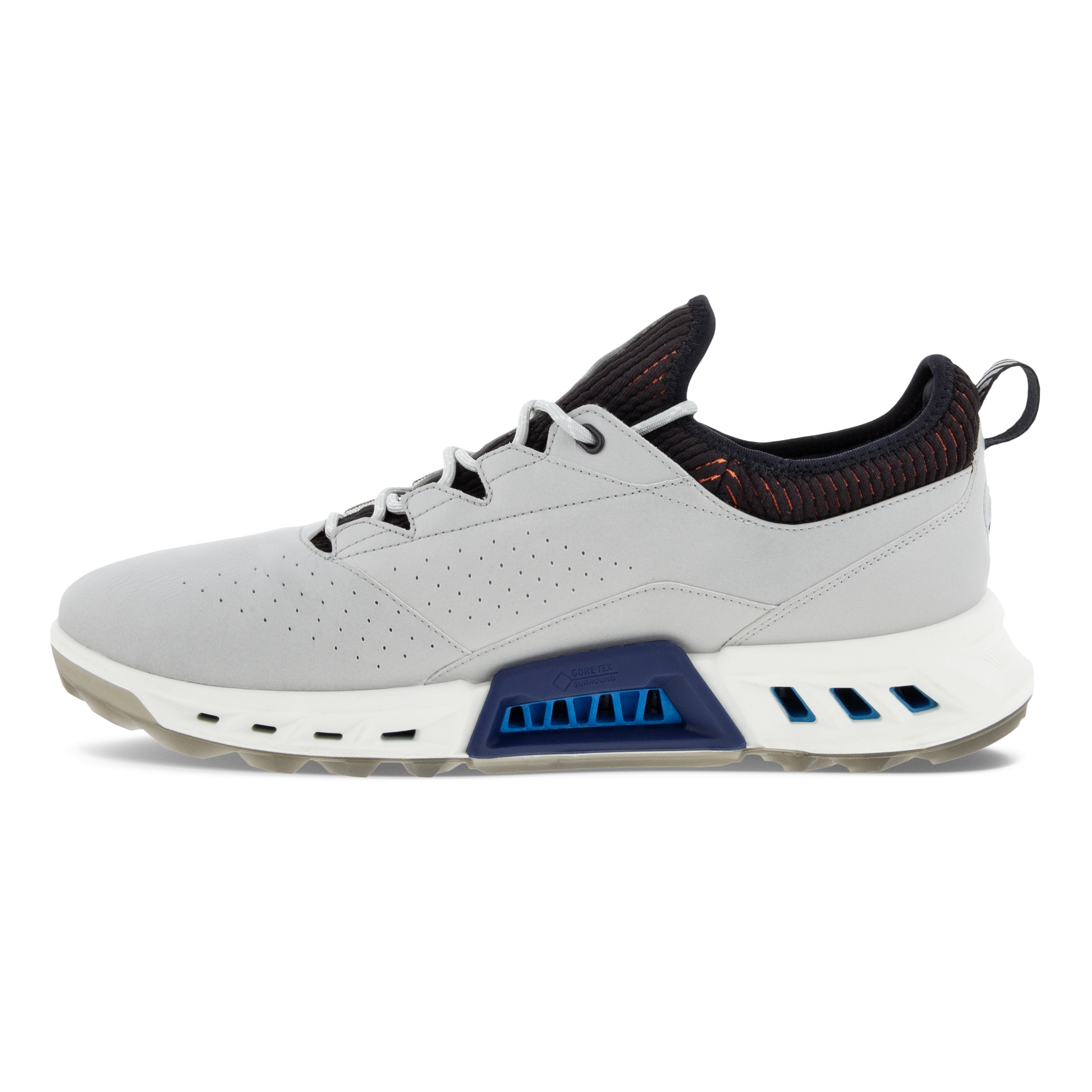 専用　ECCO M GOLF BIOM C4 ゴルフシューズ EU 40 Men's ECCO® Golf Biom C4 Leather Gore-Tex Shoe | Gray