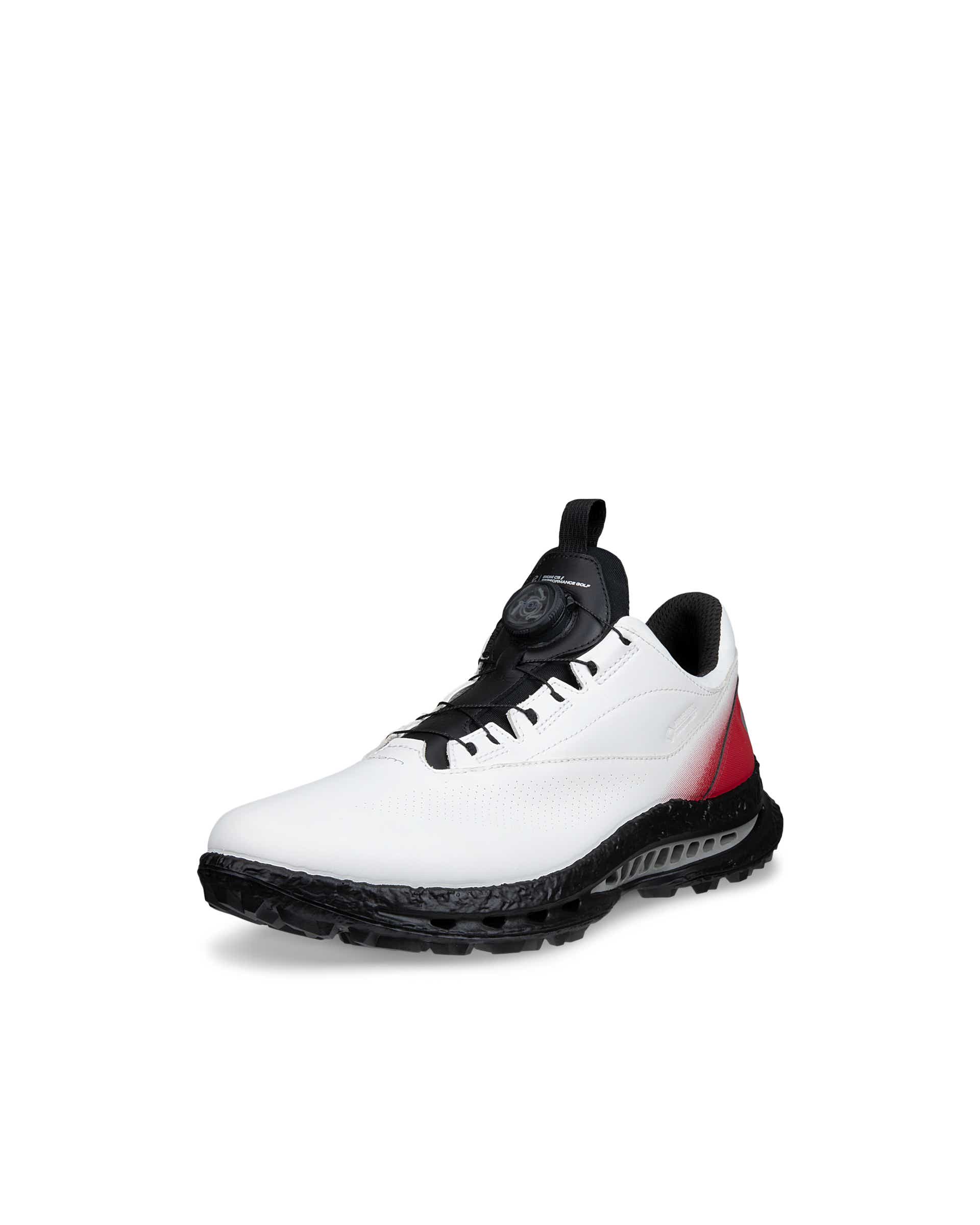 Men's ECCO® GOLF BIOM C5 Leather Gore-Tex Golf Shoe - White - Main