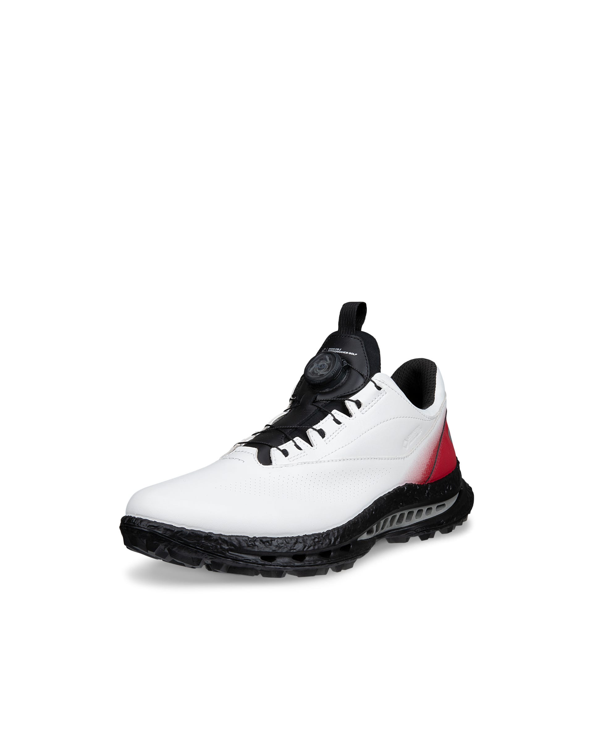 Men's ECCO® GOLF BIOM C5 Leather Gore-Tex Golf Shoe - White - Main