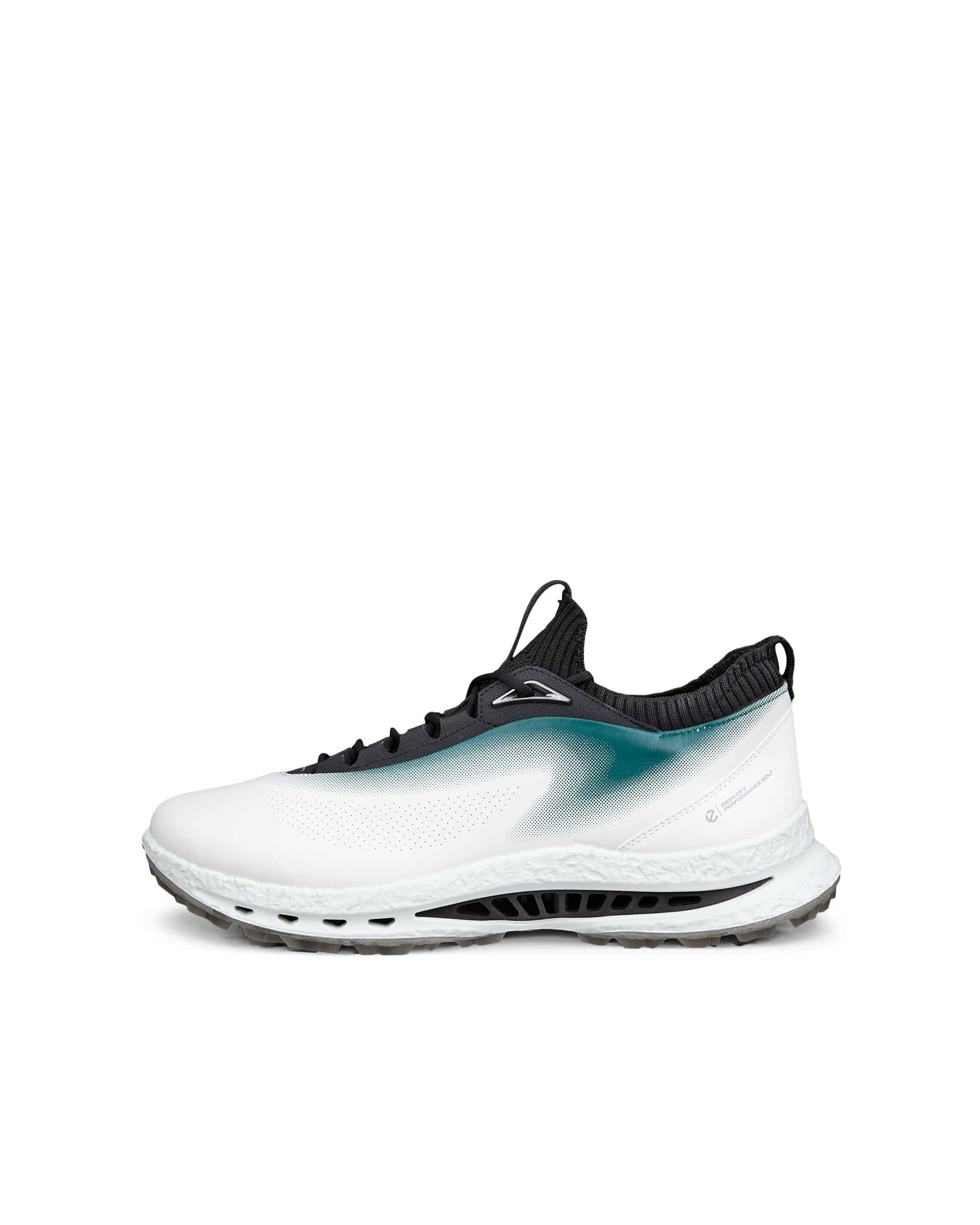 ECCO GOLF BIOM C5 MEN メンズ レザーGore-Texゴルフシューズ - ホワイト - Outside