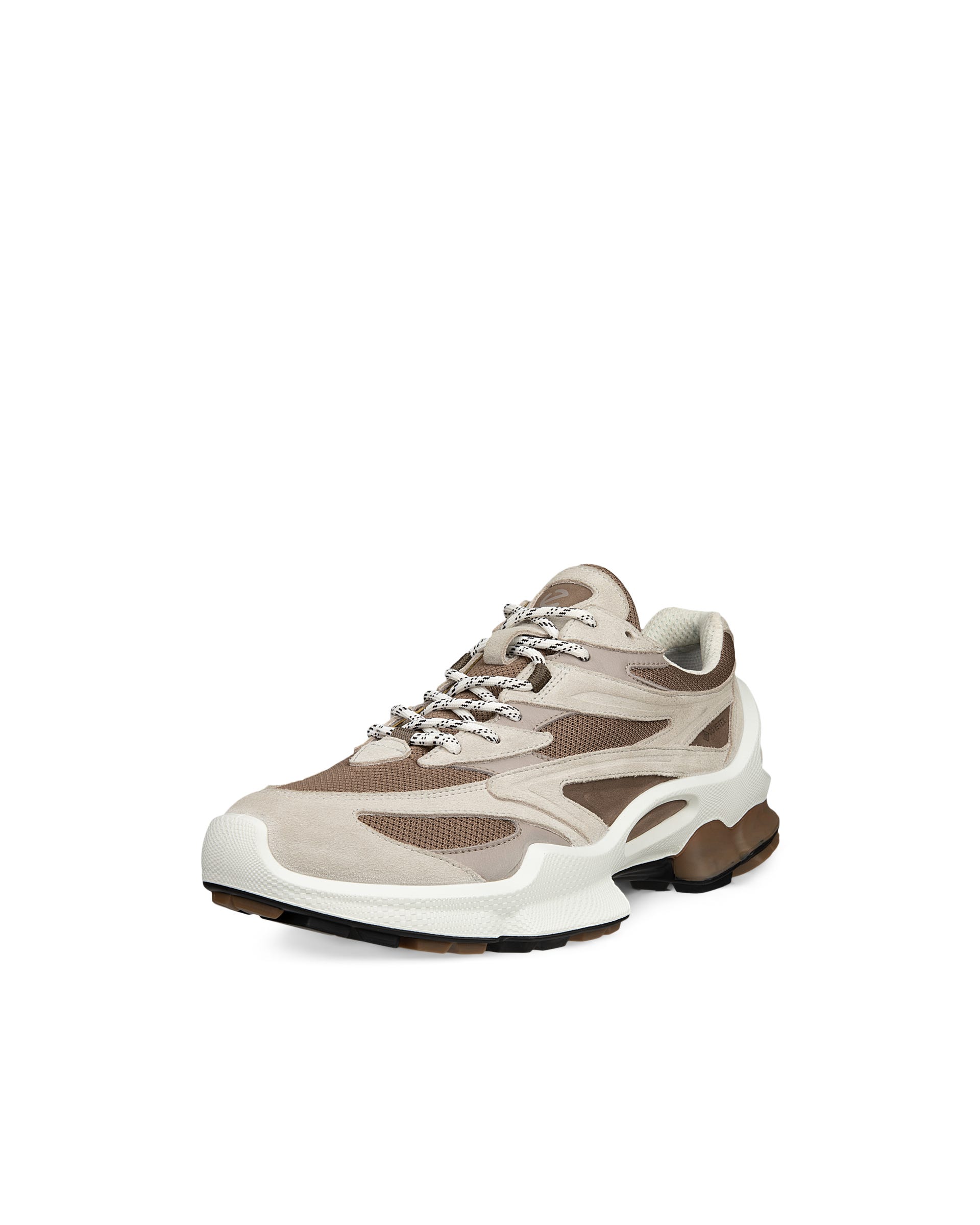 ECCO® BIOM C2-TRAIL baskets de plein air en Gore-Tex pour homme - Gris - Outside