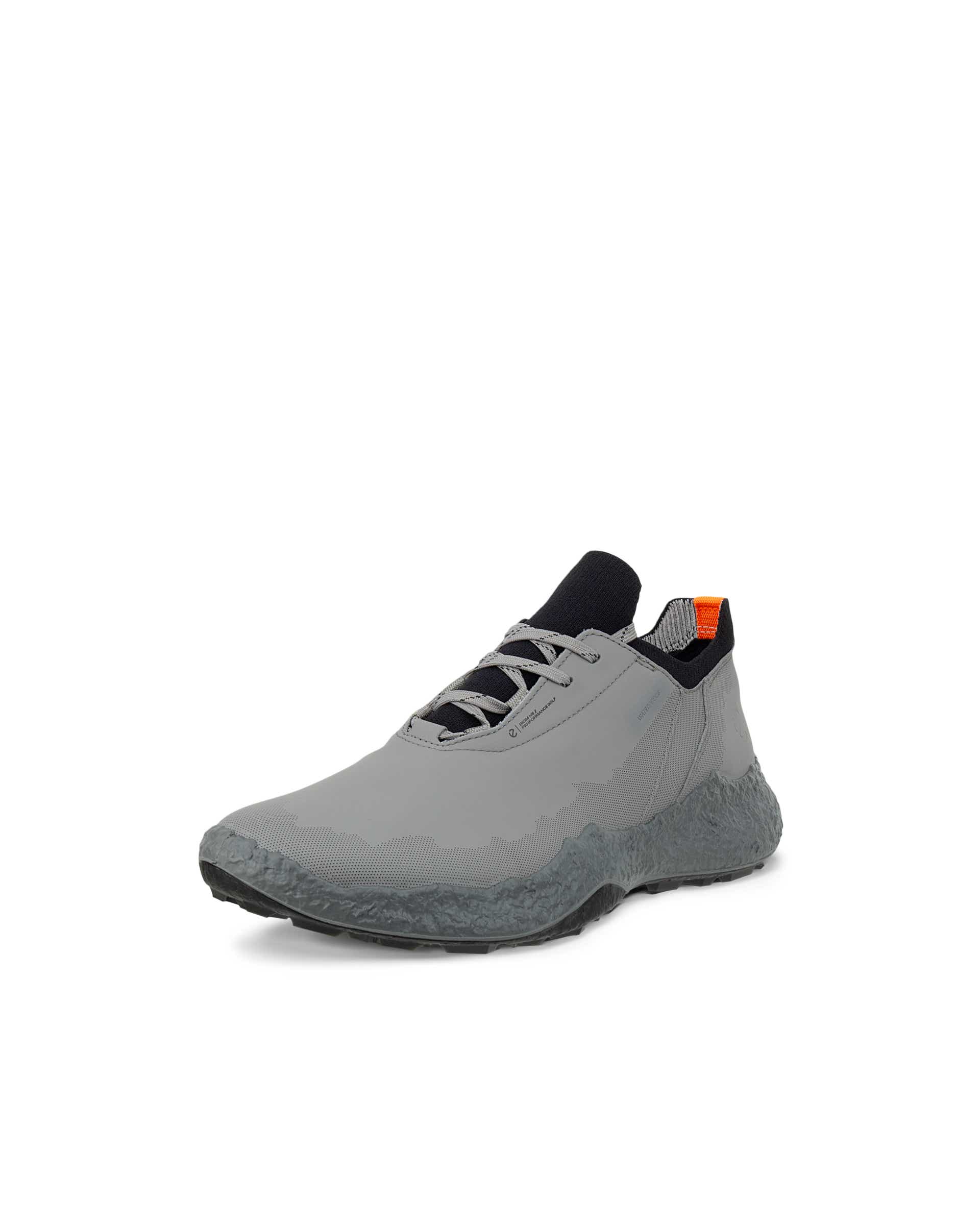 Men's ECCO® Golf BIOM H5 Leather Waterproof Golf Shoe - Grey - Main