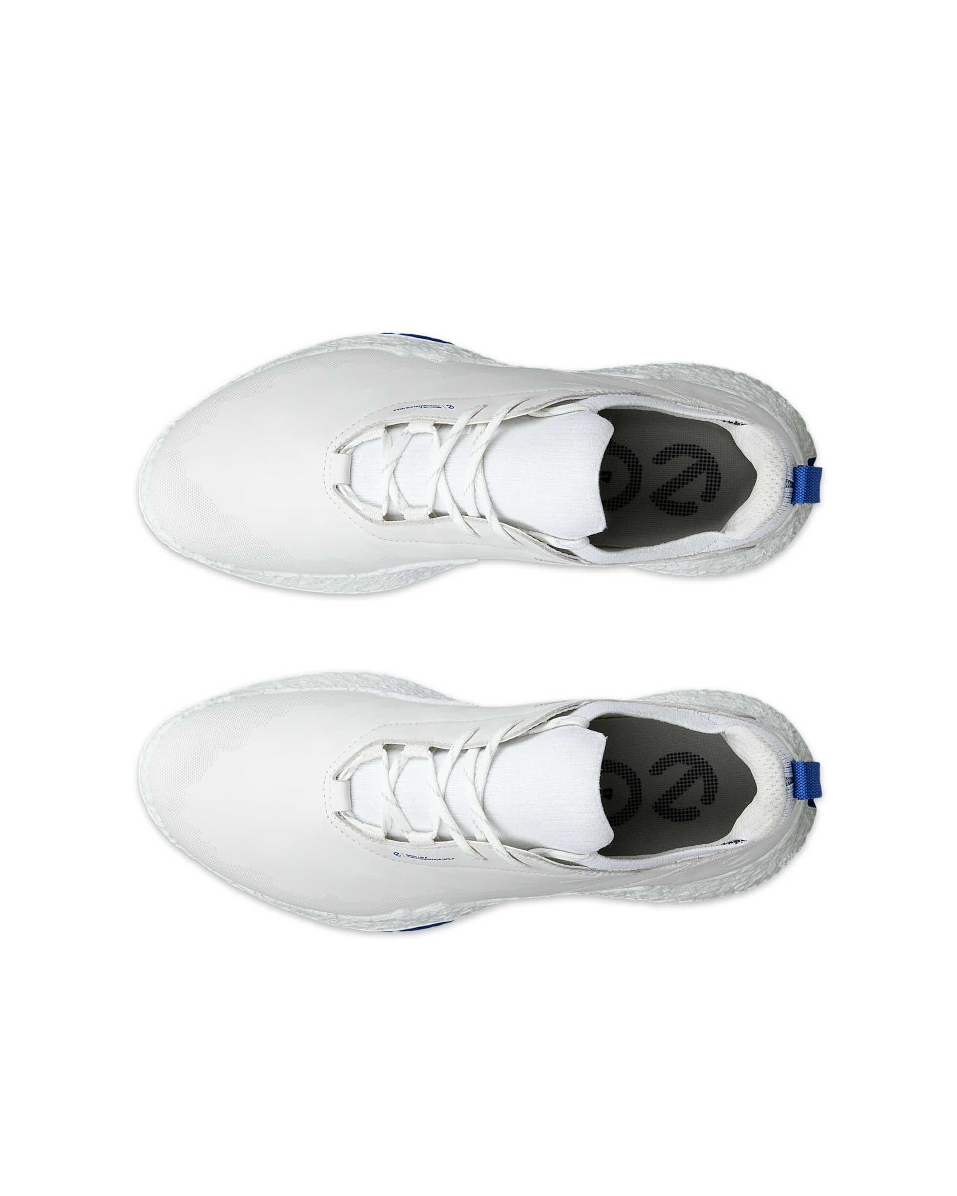 Men's ECCO® GOLF BIOM H5 Leather Waterproof Golf Shoe - White - Top left pair