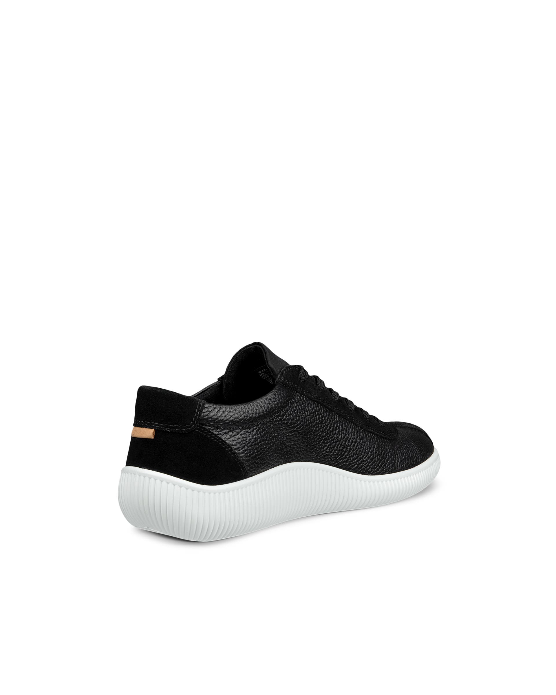 ECCO® Soft Zero Herren Ledersneaker - Schwarz - Back