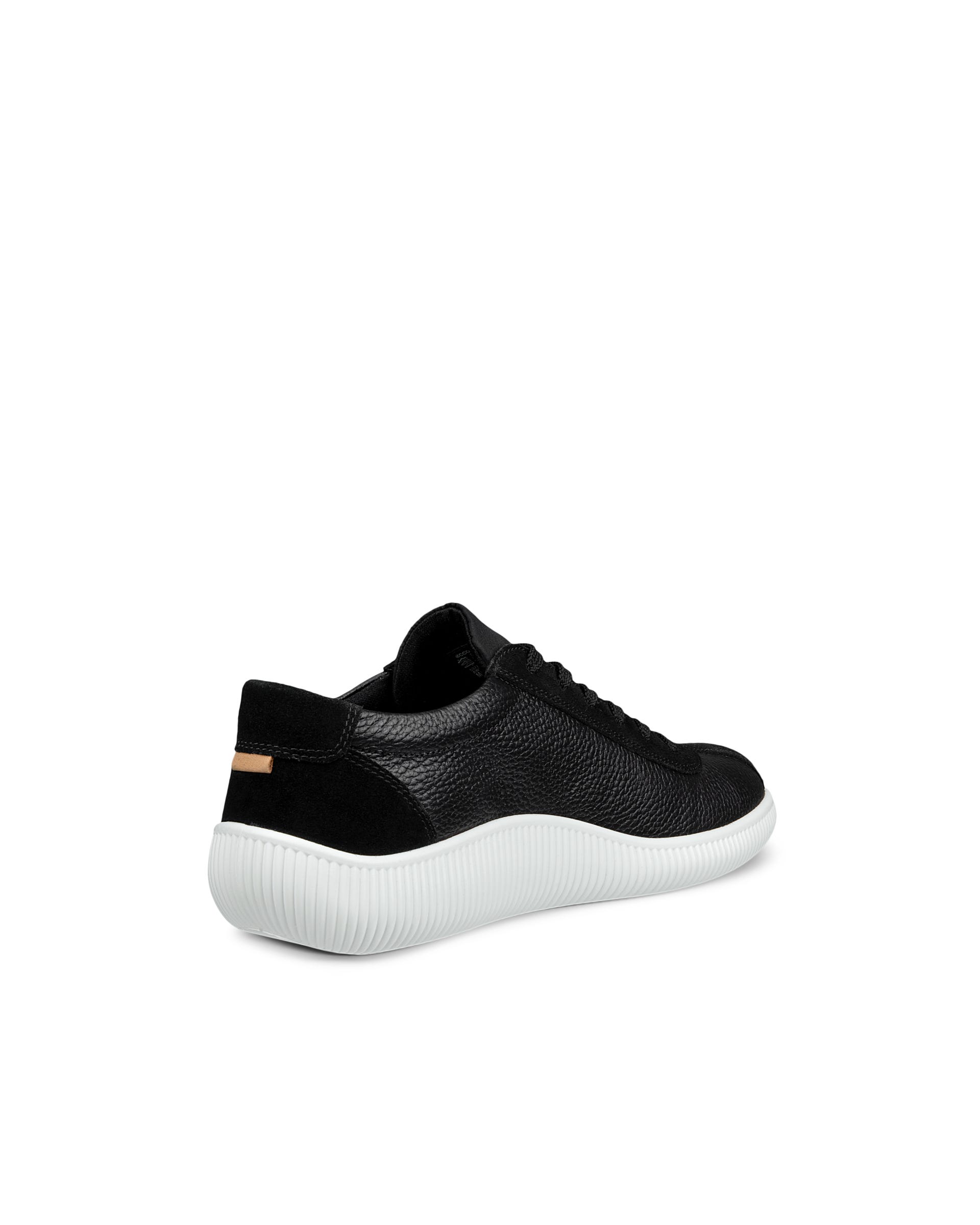 ECCO® Soft Zero Herren Ledersneaker - Schwarz - Back