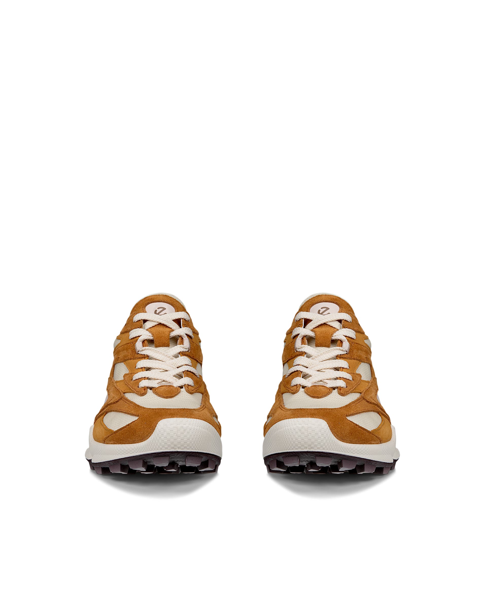 ECCO BIOM C-TRAIL WOMEN ウィメンズ レザースニーカー - ブラウン - Front pair
