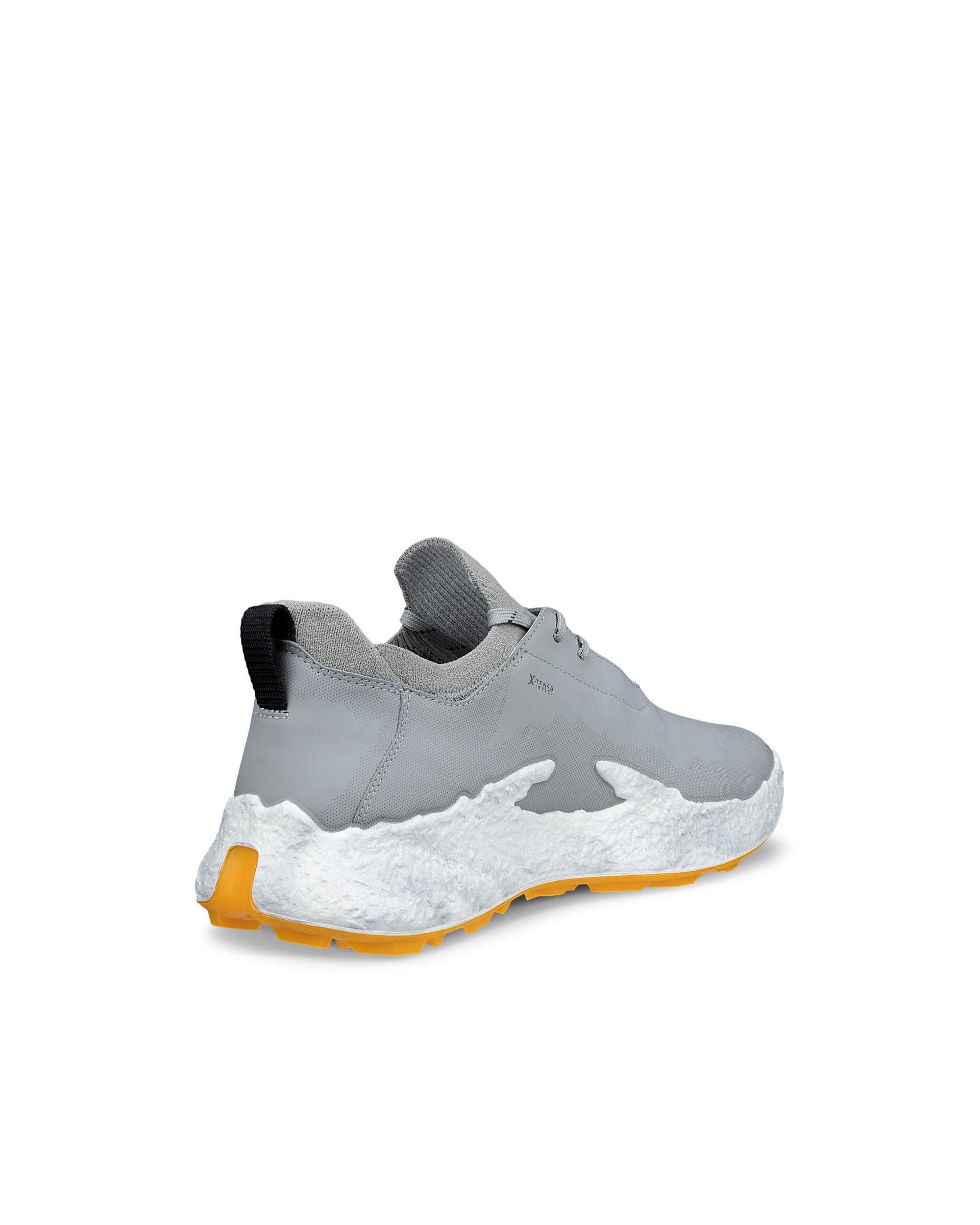Men's ECCO® GOLF BIOM H5 Leather Waterproof Golf Shoe - Grey - Back