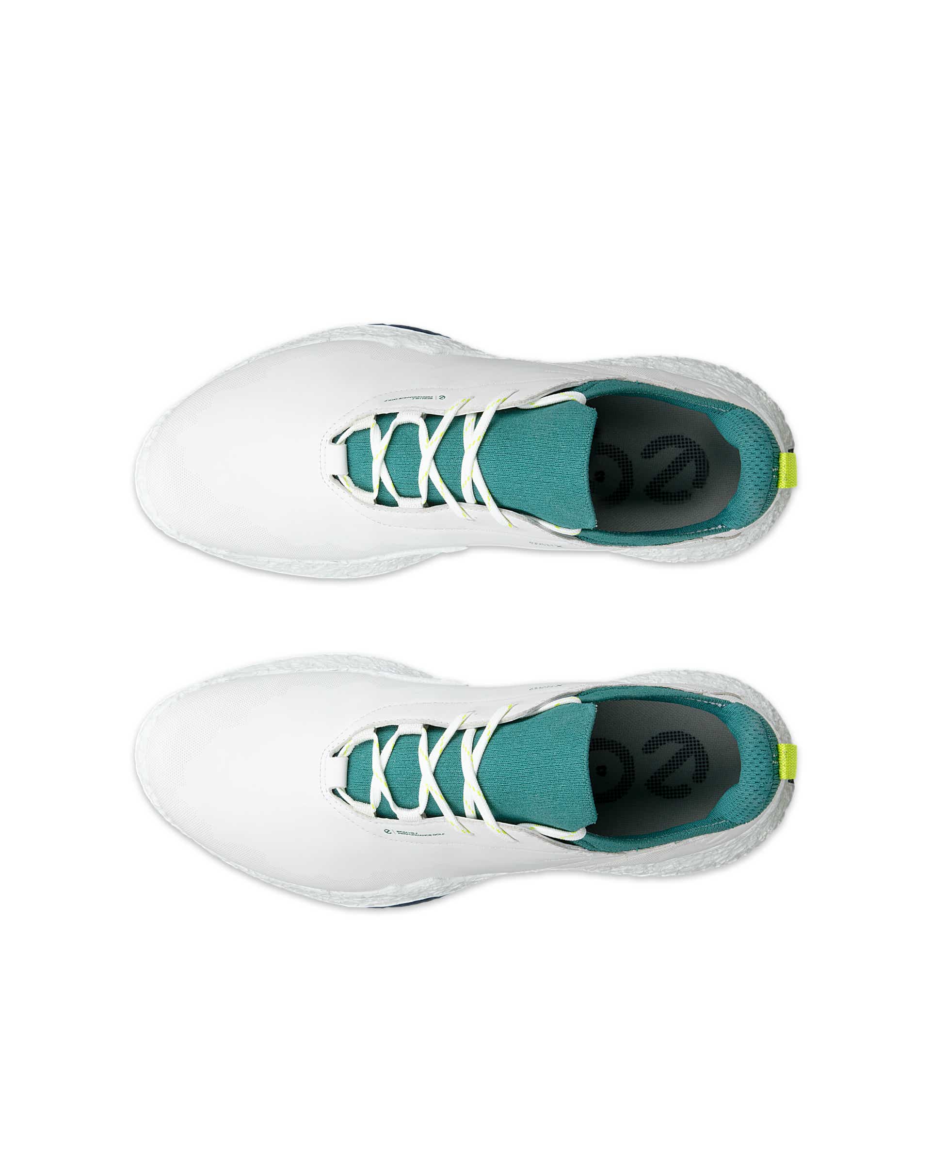 ECCO GOLF BIOM H5 MEN メンズ レザーウォータープルーフゴルフ ECCO GOLF BIOM H5 MEN メンズ レザーウォータープルーフゴルフ