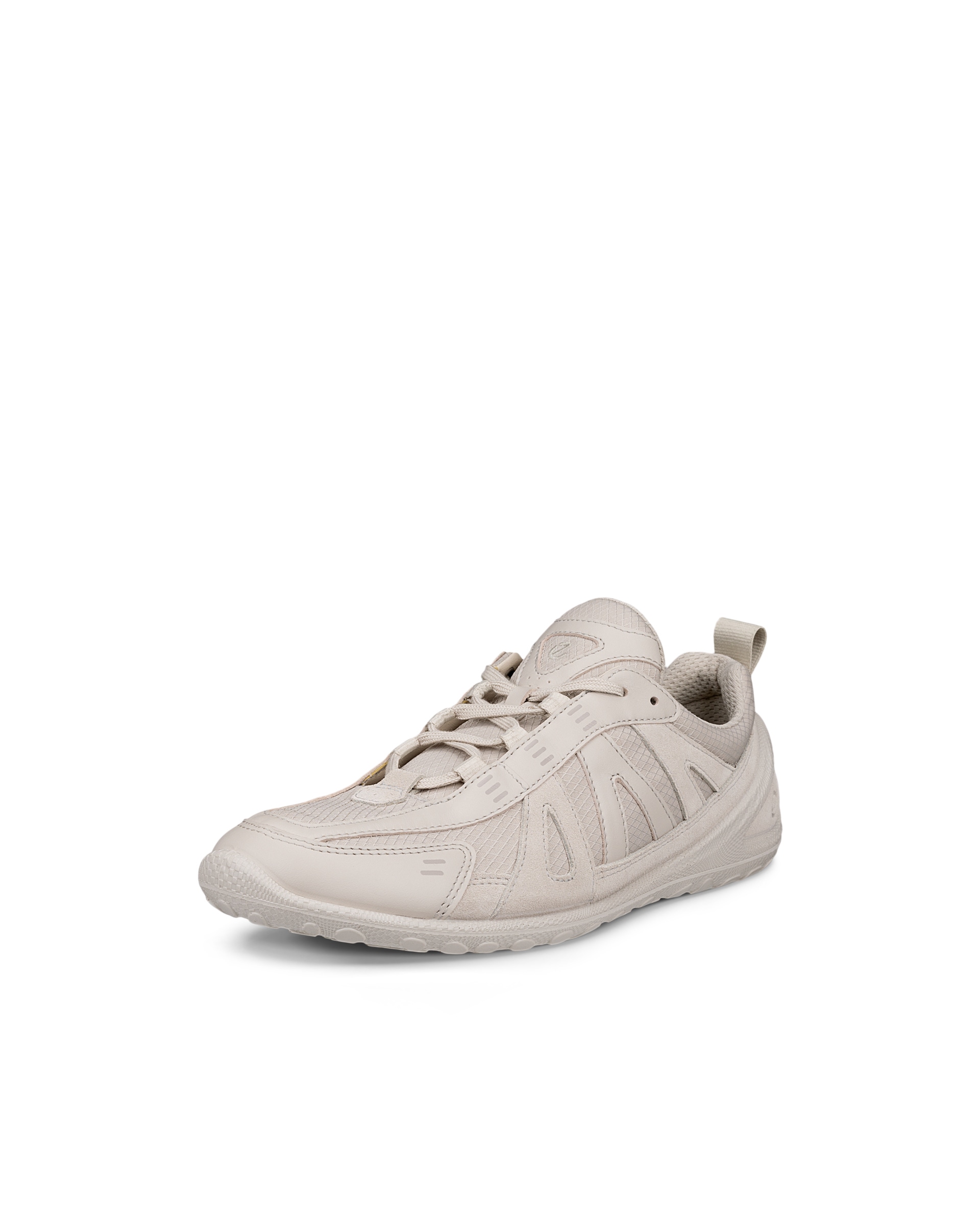 ECCO BIOM LITE - Gris - Main
