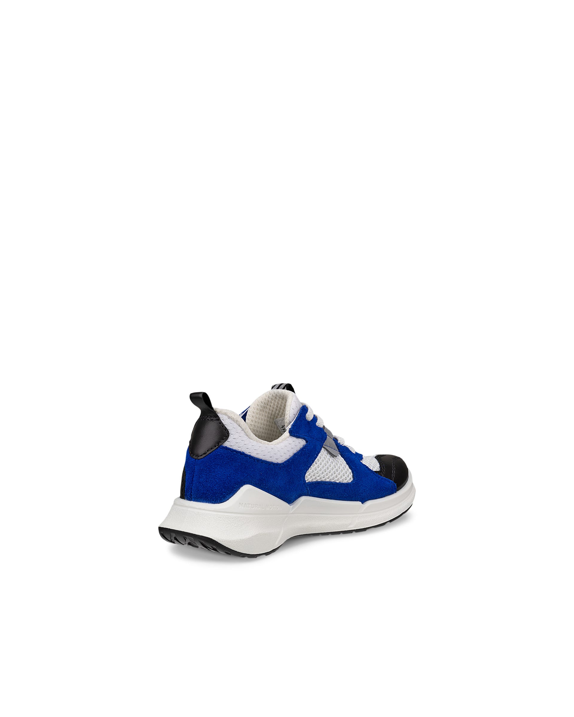 Dziecięce skórzane buty outdoorowe ECCO® BIOM 2.2 - Niebieski - Back