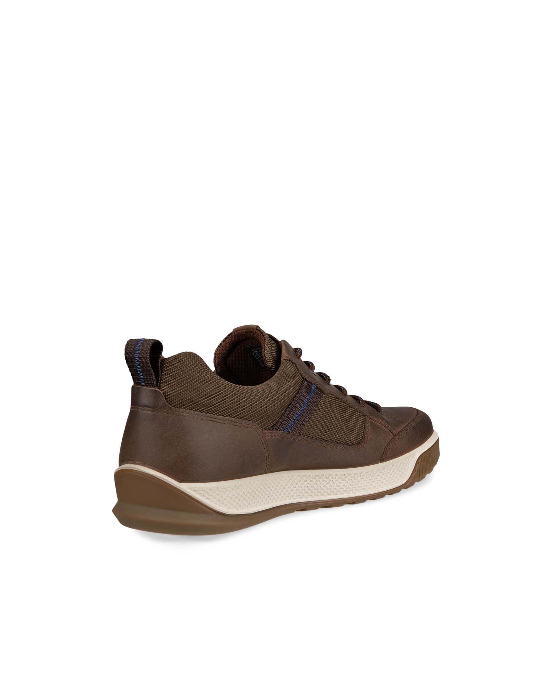 Moški Gore-Tex čevlji  ECCO® Byway Tred - Rjava - Back